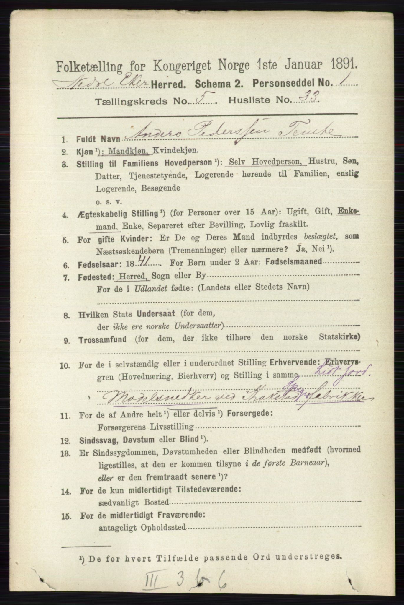 RA, 1891 census for 0625 Nedre Eiker, 1891, p. 2510