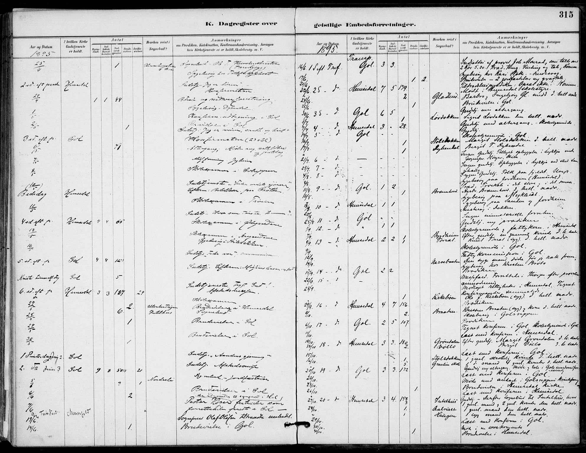 Gol kirkebøker, SAKO/A-226/F/Fa/L0005: Parish register (official) no. I 5, 1887-1900, p. 315
