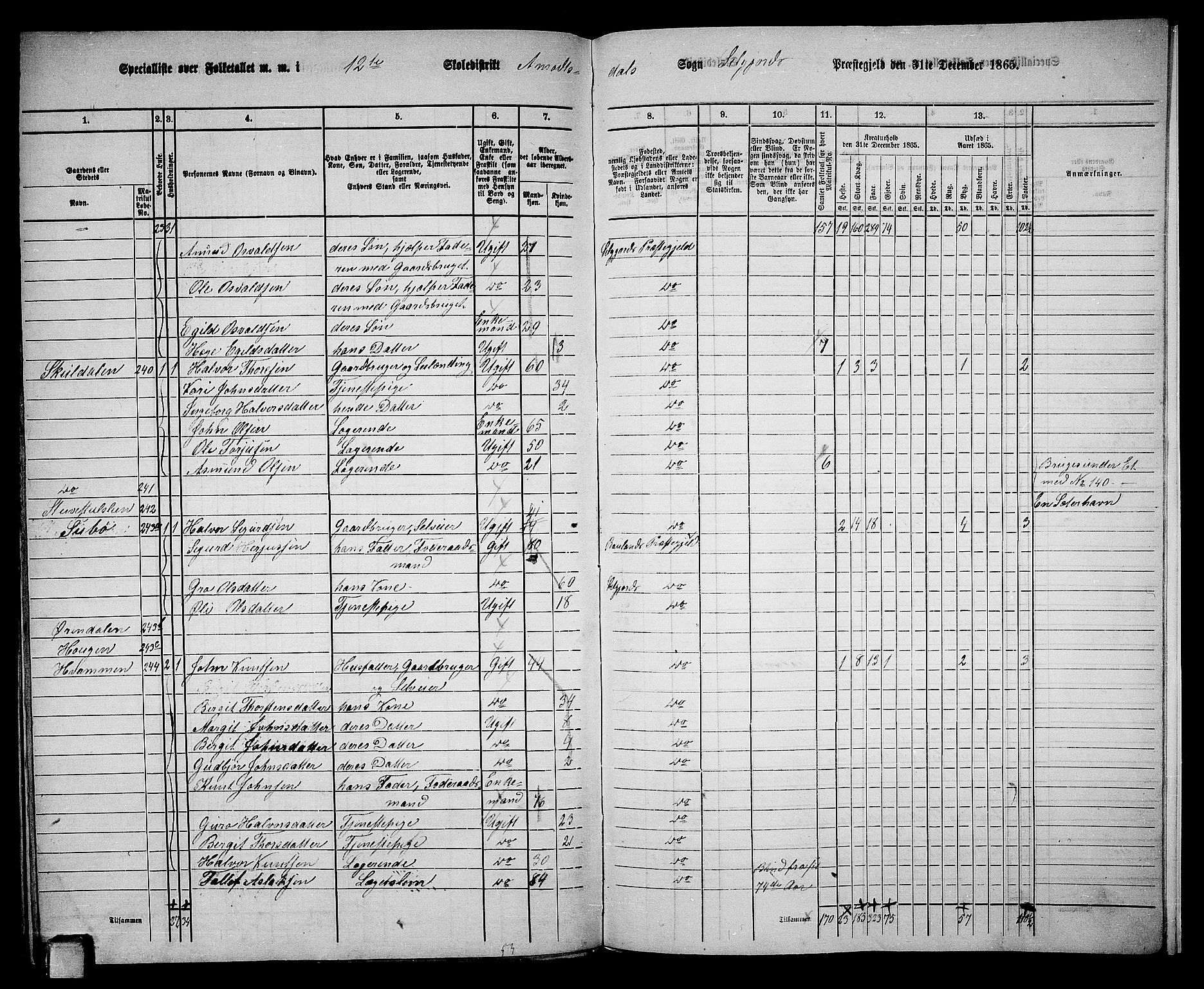 RA, 1865 census for Seljord, 1865, p. 169