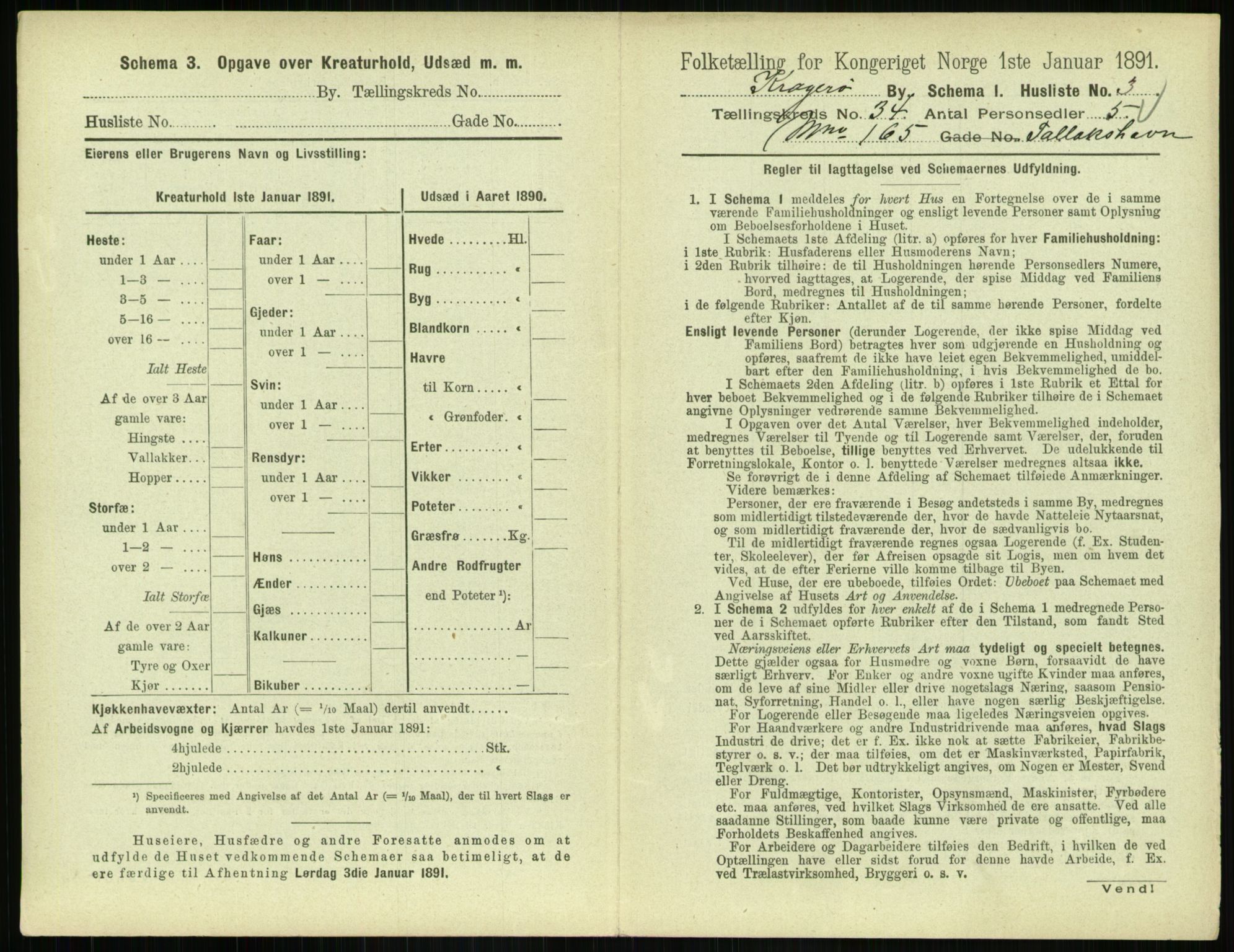 RA, 1891 census for 0801 Kragerø, 1891, p. 1238