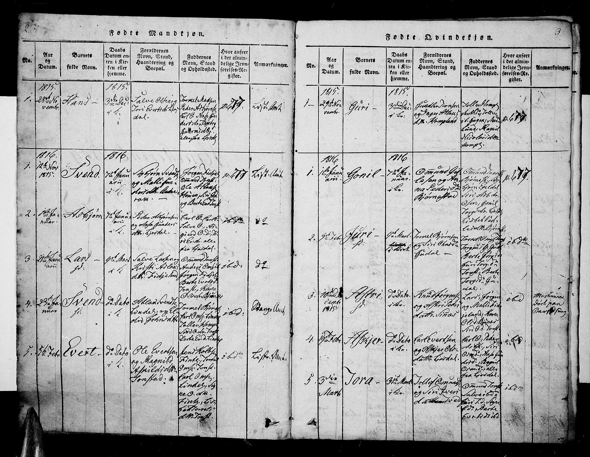 Sirdal sokneprestkontor, AV/SAK-1111-0036/F/Fa/Fab/L0001: Parish register (official) no. A 1, 1815-1834, p. 2-3