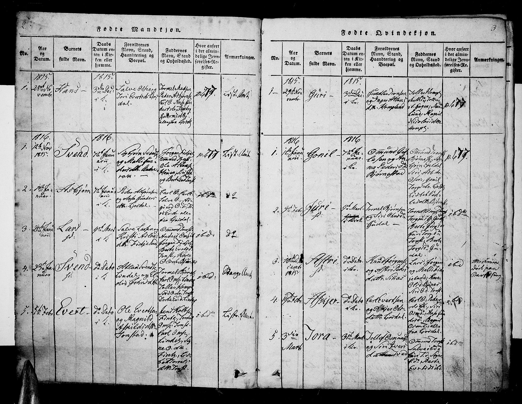 Sirdal sokneprestkontor, SAK/1111-0036/F/Fa/Fab/L0001: Parish register (official) no. A 1, 1815-1834, p. 2-3