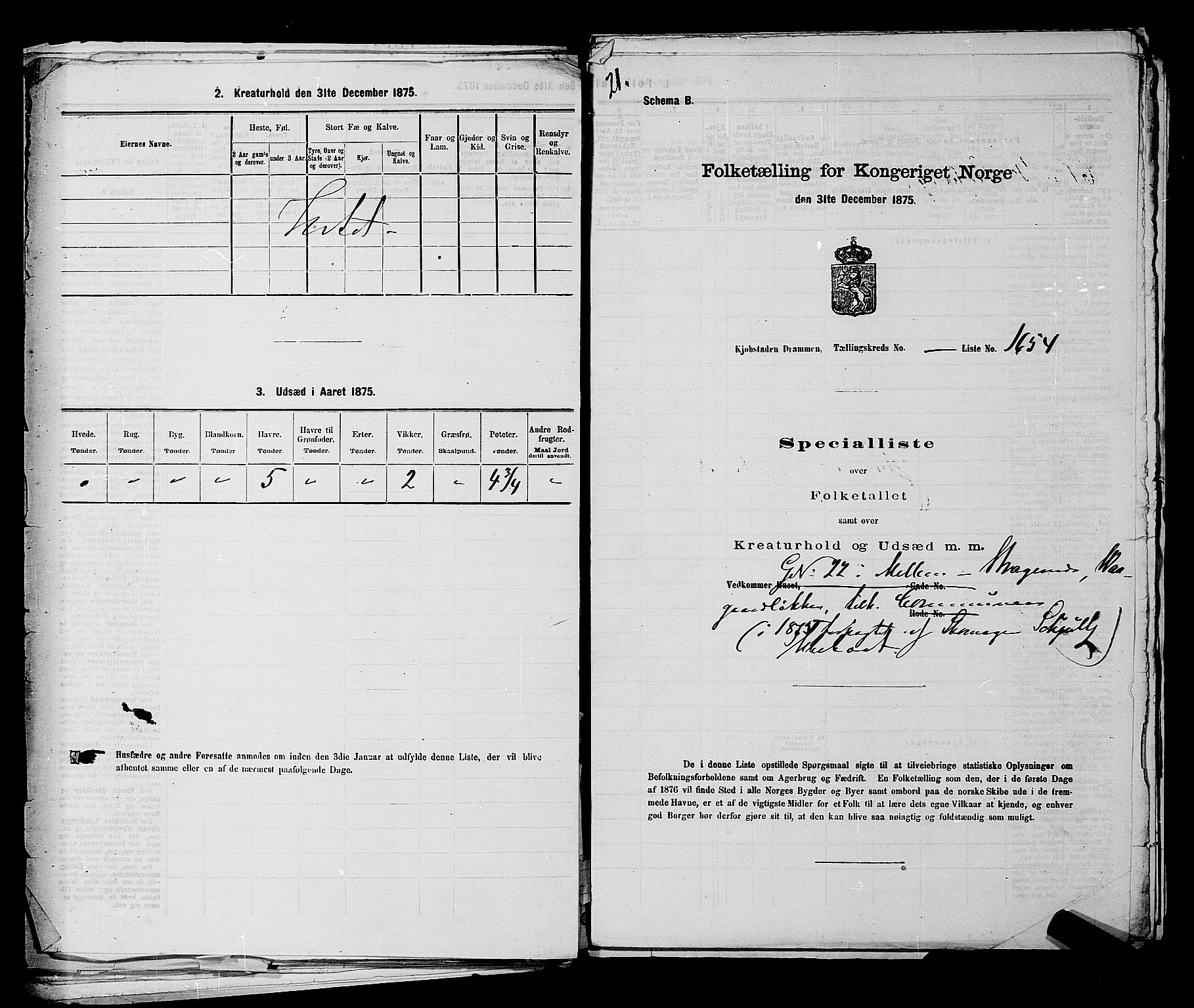 SAKO, 1875 census for 0602 Drammen, 1875, p. 3794