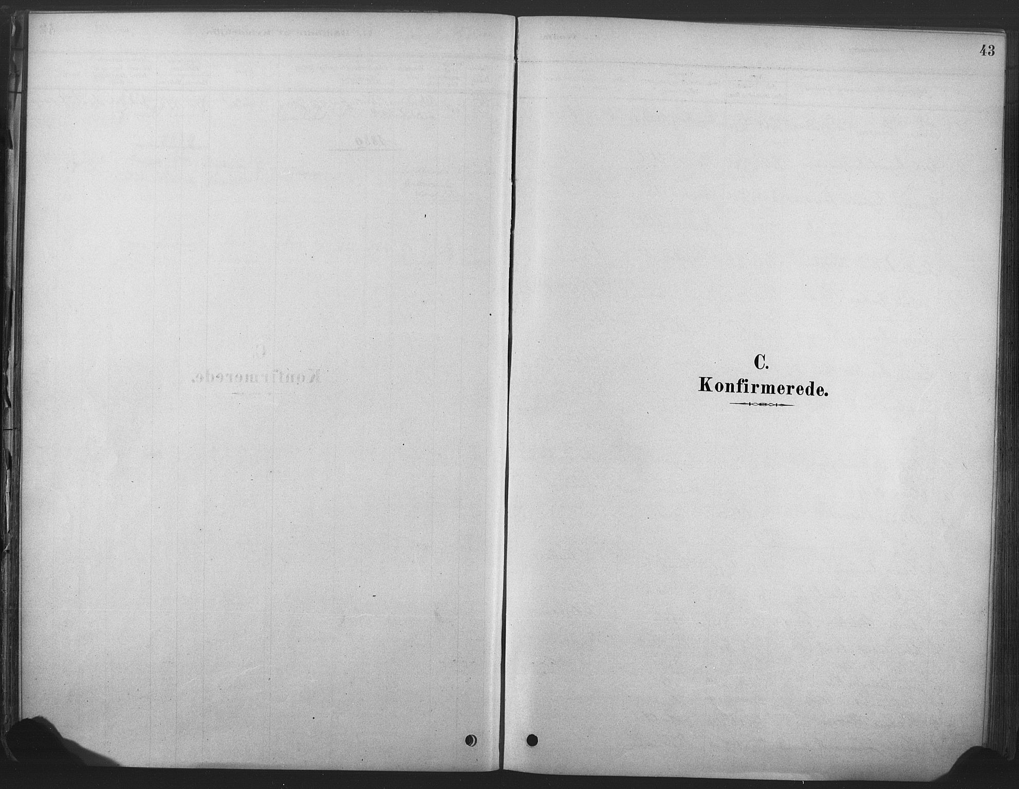 Våle kirkebøker, SAKO/A-334/F/Fb/L0002: Parish register (official) no. II 2, 1878-1907, p. 43