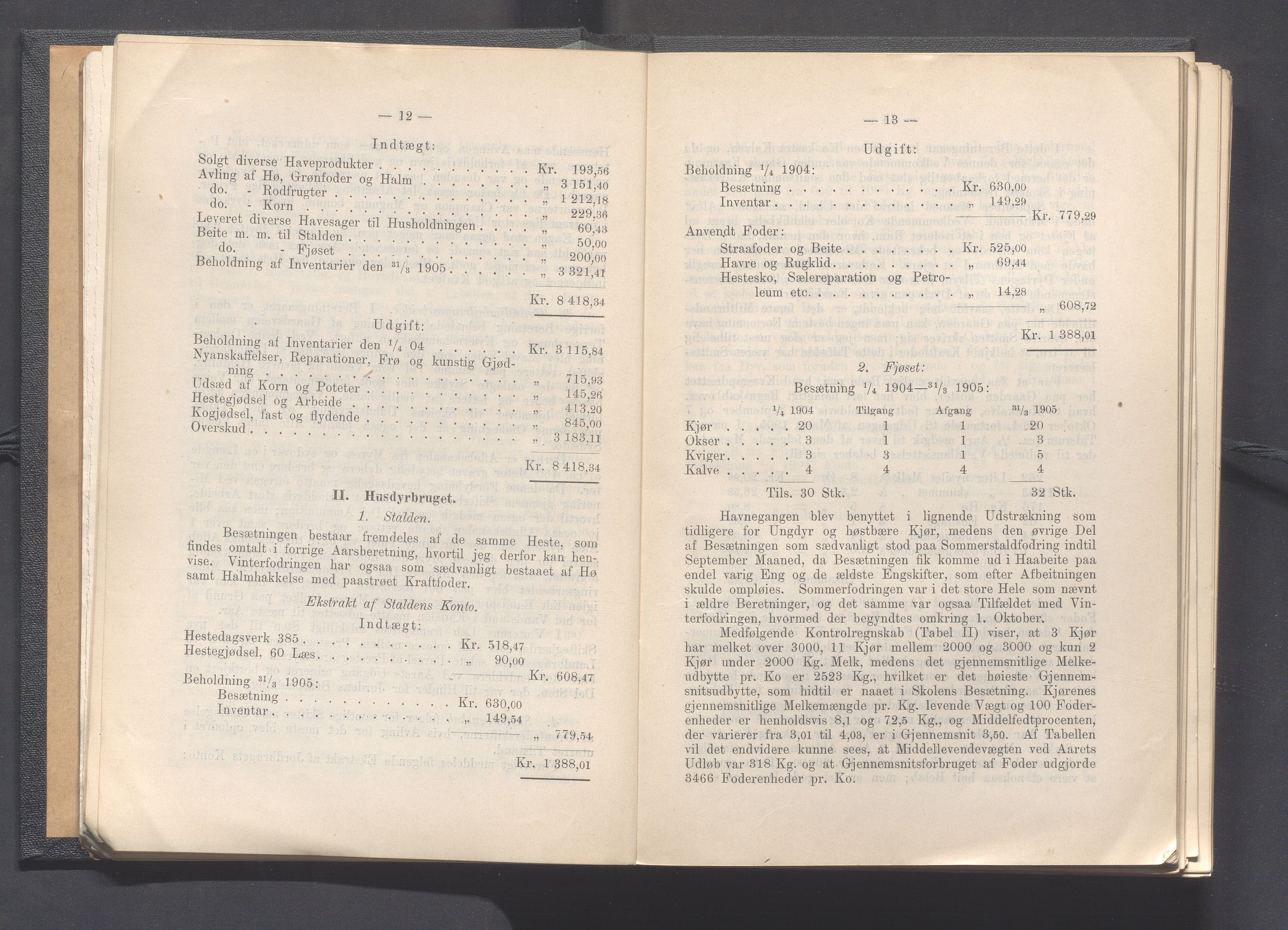 Rogaland fylkeskommune - Fylkesrådmannen , IKAR/A-900/A, 1906, p. 14