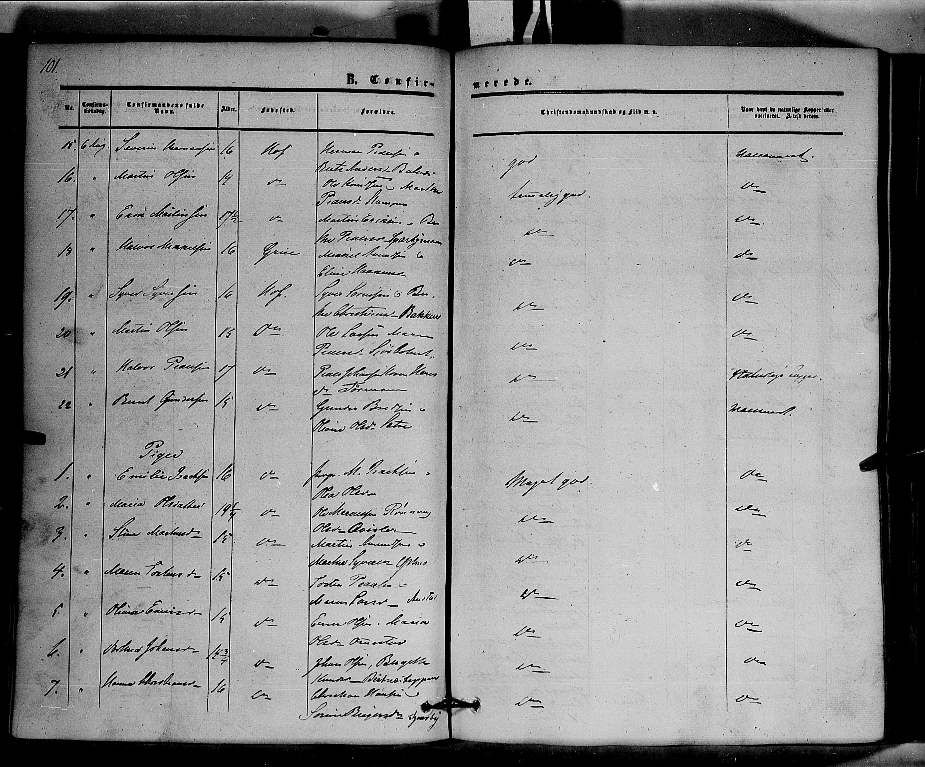 Hof prestekontor, SAH/PREST-038/H/Ha/Haa/L0008: Parish register (official) no. 8, 1849-1861, p. 101