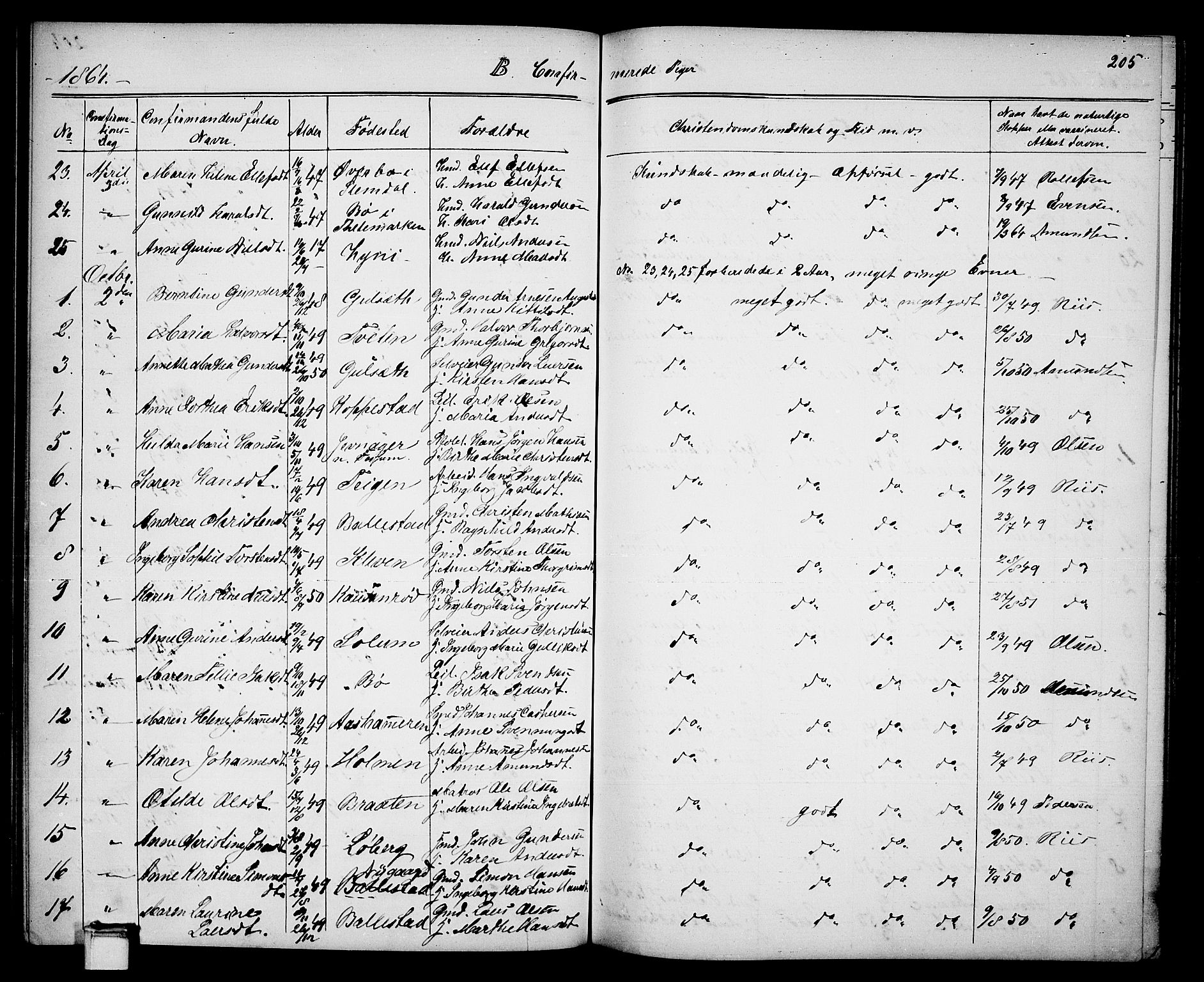 Gjerpen kirkebøker, SAKO/A-265/G/Ga/L0001: Parish register (copy) no. I 1, 1864-1882, p. 205