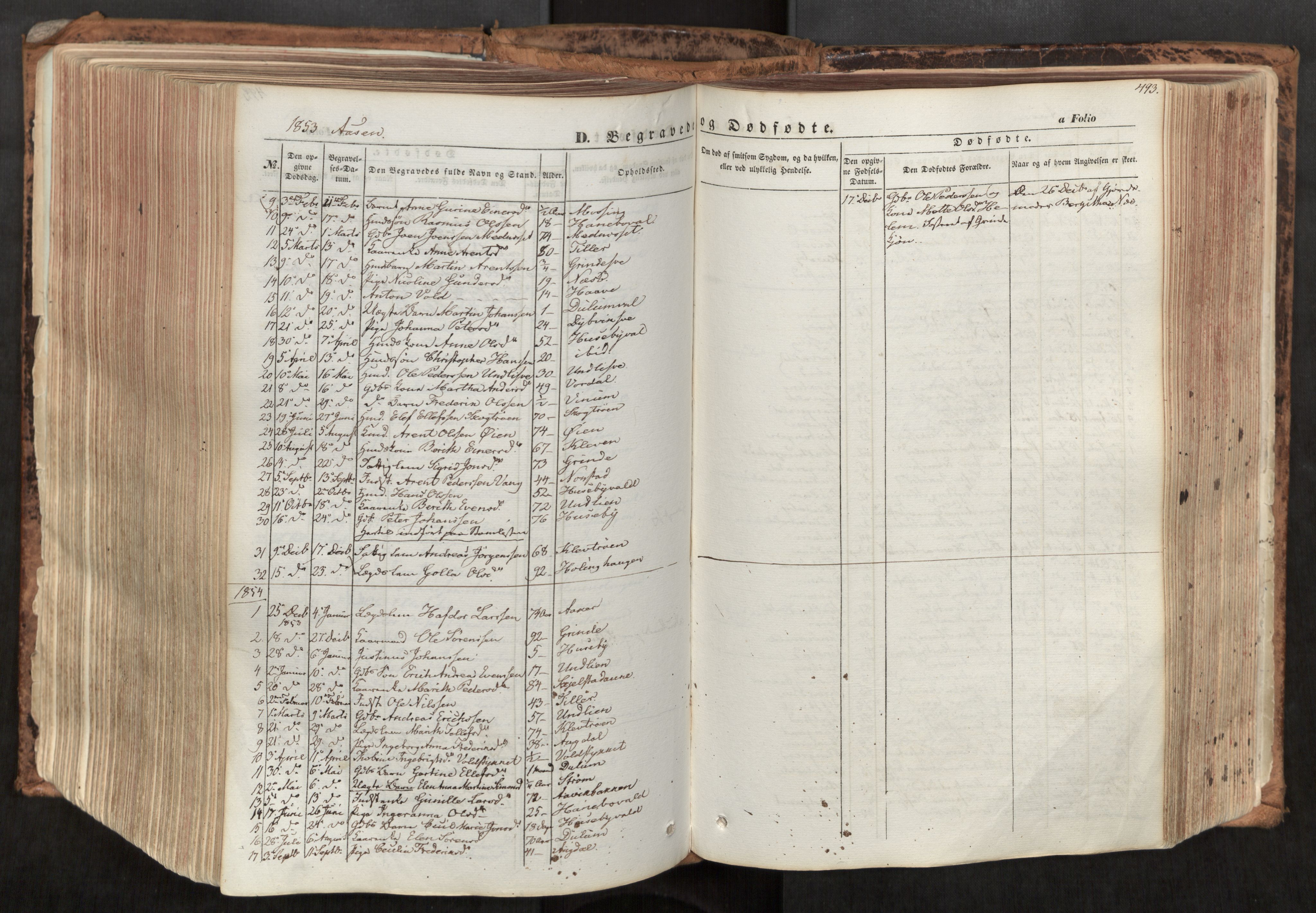 Ministerialprotokoller, klokkerbøker og fødselsregistre - Nord-Trøndelag, SAT/A-1458/713/L0116: Parish register (official) no. 713A07, 1850-1877, p. 493