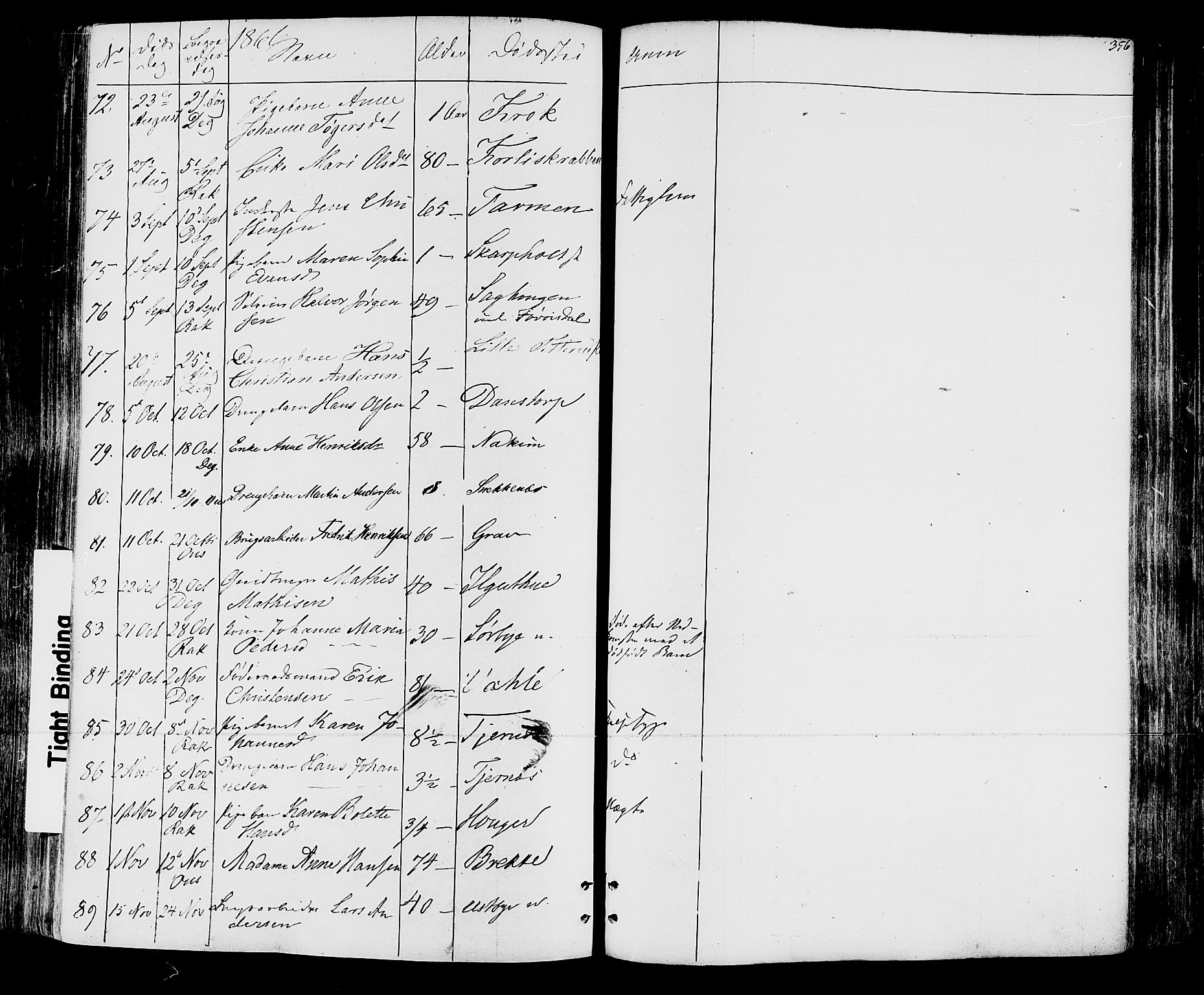 Rakkestad prestekontor Kirkebøker, SAO/A-2008/F/Fa/L0011: Parish register (official) no. I 11, 1862-1877, p. 356