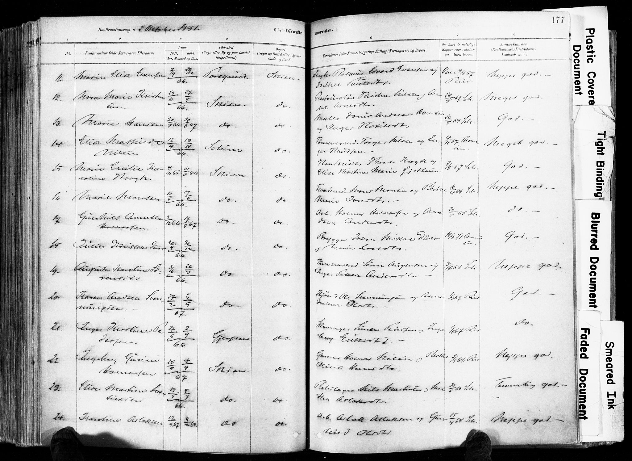 Skien kirkebøker, AV/SAKO-A-302/F/Fa/L0009: Parish register (official) no. 9, 1878-1890, p. 177