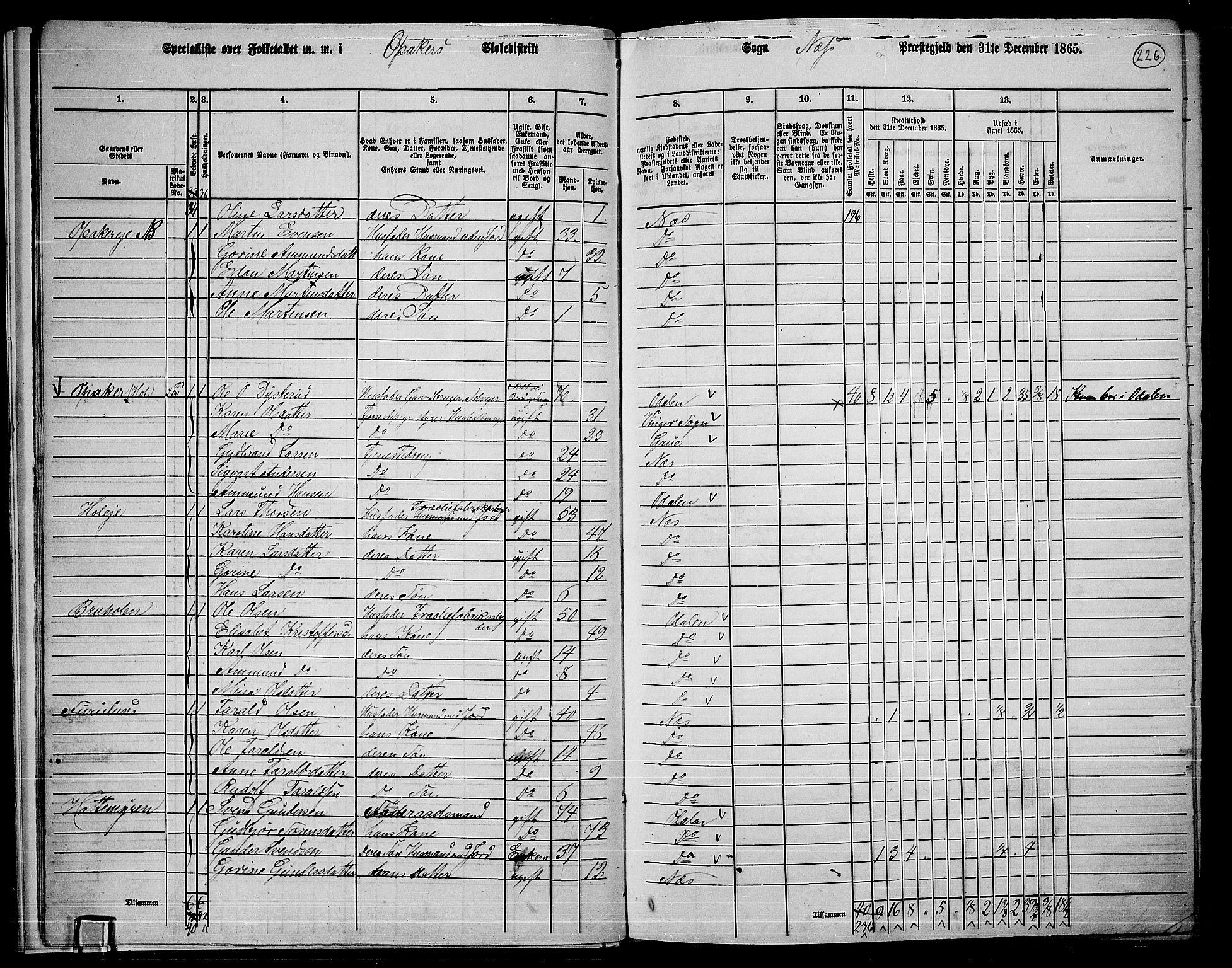 RA, 1865 census for Nes, 1865, p. 209