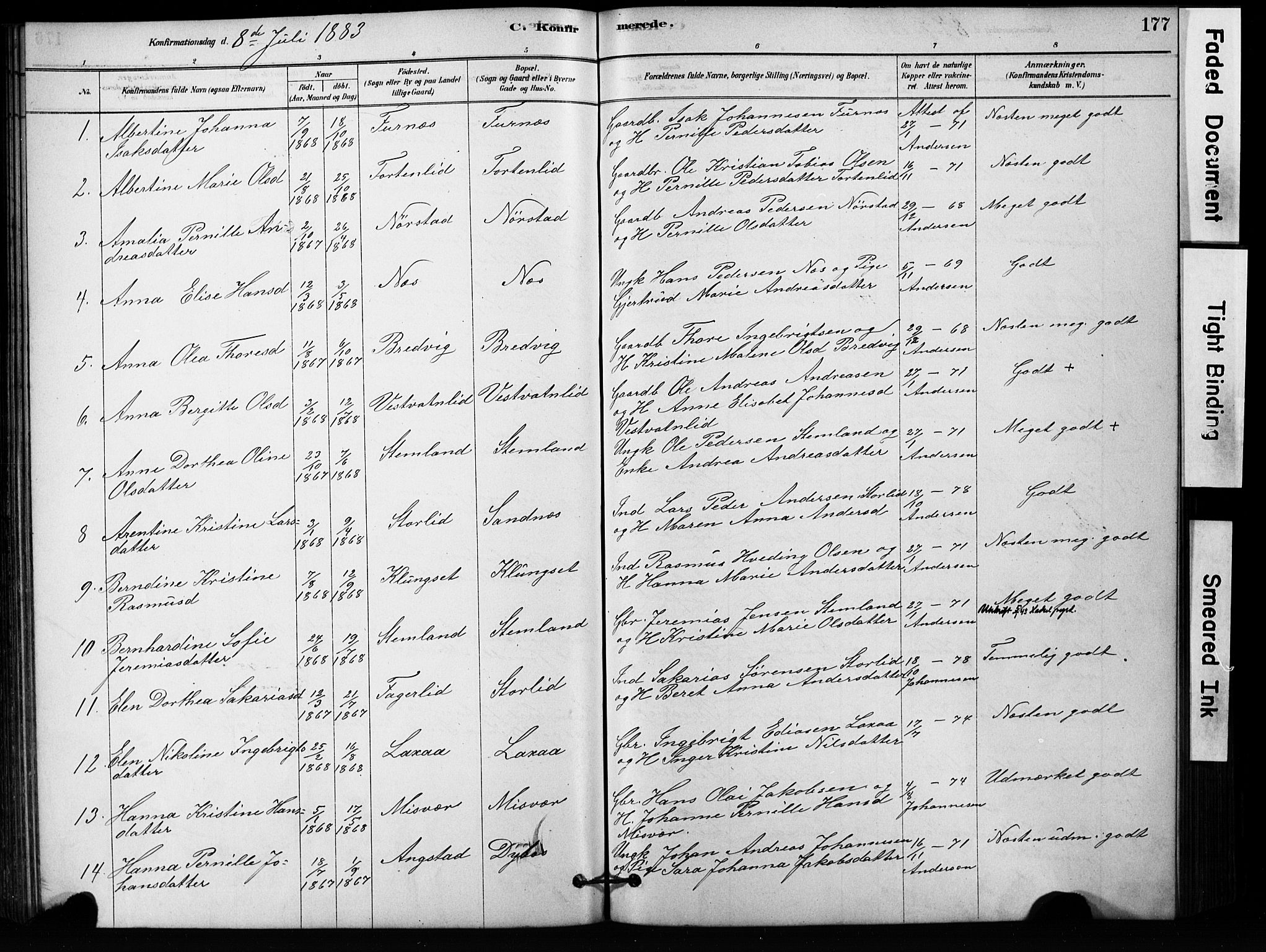 Ministerialprotokoller, klokkerbøker og fødselsregistre - Nordland, SAT/A-1459/852/L0754: Parish register (copy) no. 852C05, 1878-1894, p. 177