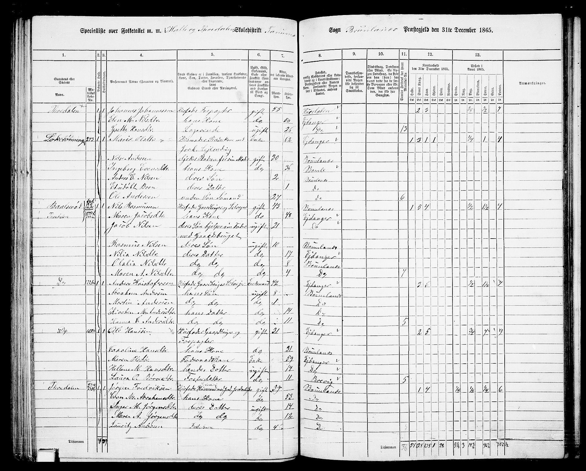 RA, 1865 census for Brunlanes, 1865, p. 102