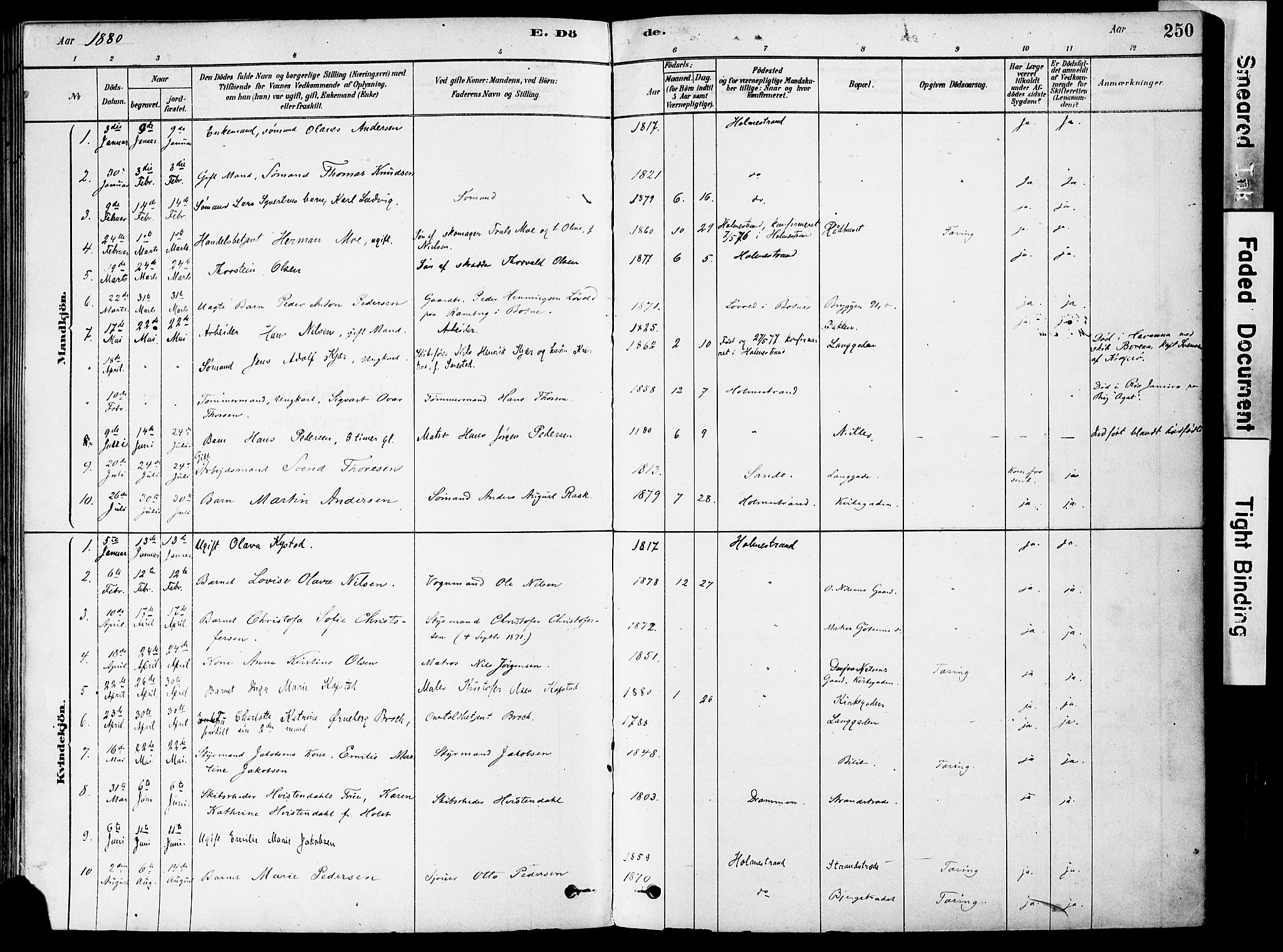 Holmestrand kirkebøker, AV/SAKO-A-346/F/Fa/L0004: Parish register (official) no. 4, 1880-1901, p. 250