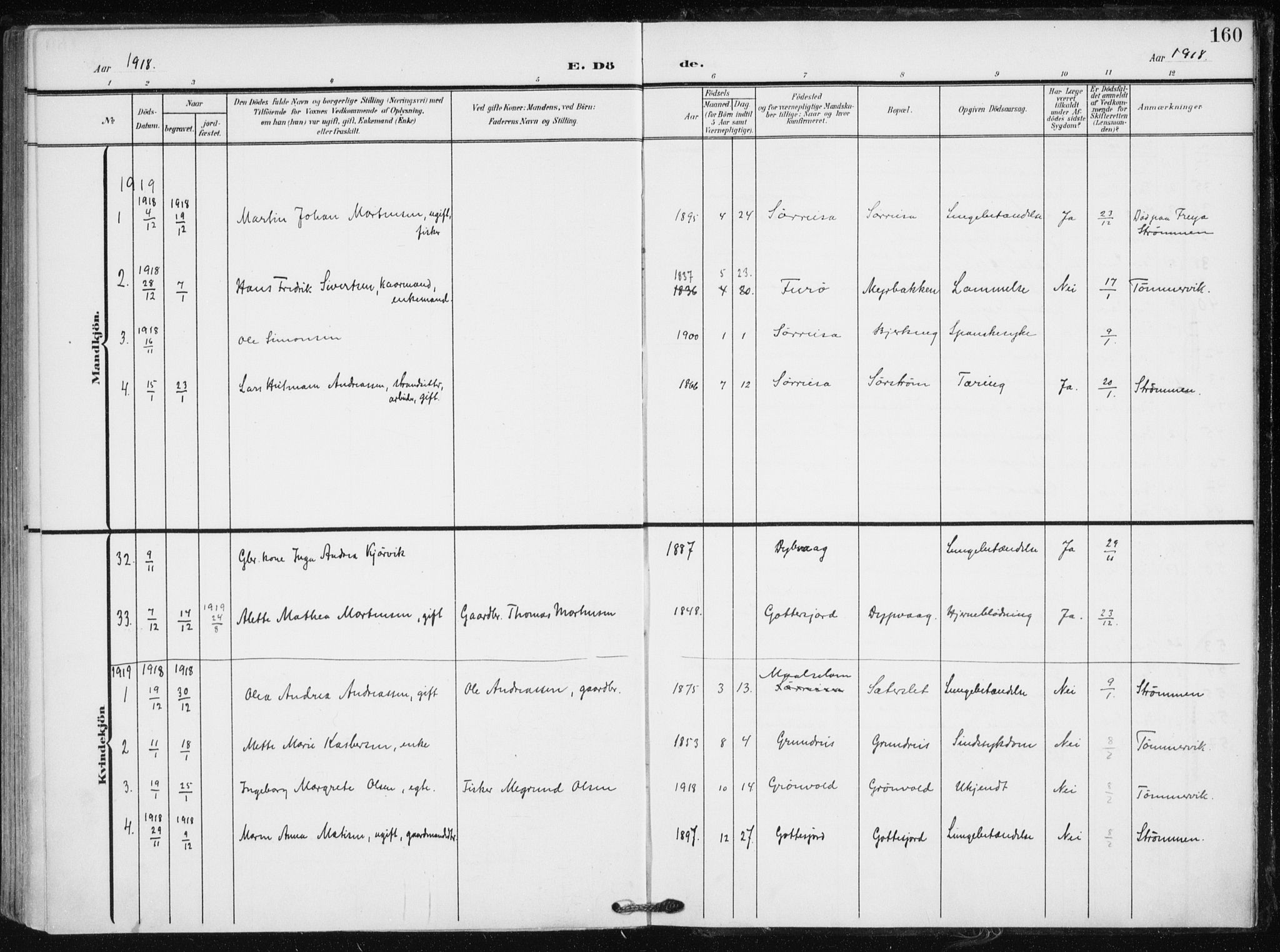 Tranøy sokneprestkontor, SATØ/S-1313/I/Ia/Iaa/L0012kirke: Parish register (official) no. 12, 1905-1918, p. 160