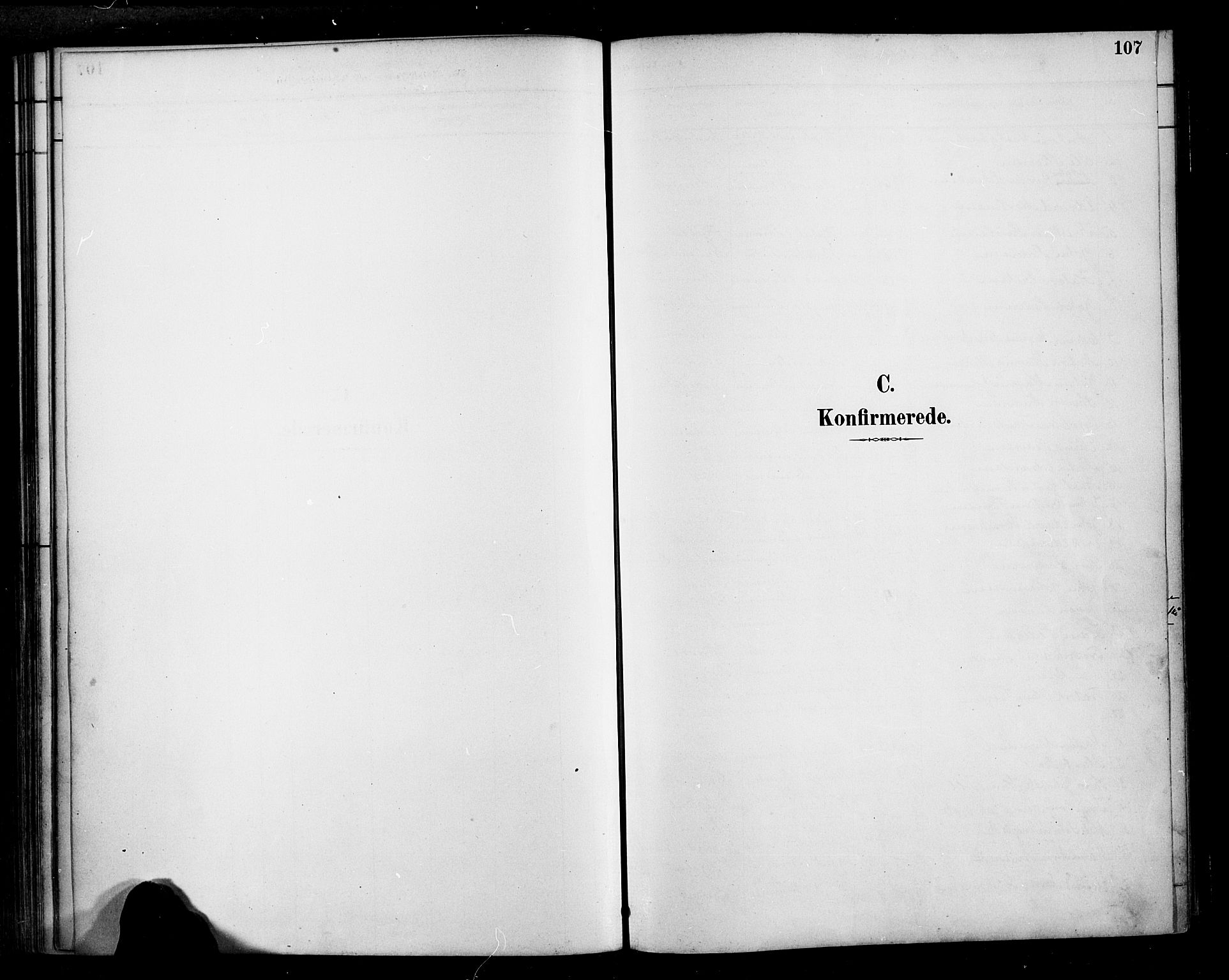 Ministerialprotokoller, klokkerbøker og fødselsregistre - Møre og Romsdal, SAT/A-1454/569/L0819: Parish register (official) no. 569A05, 1885-1899, p. 107