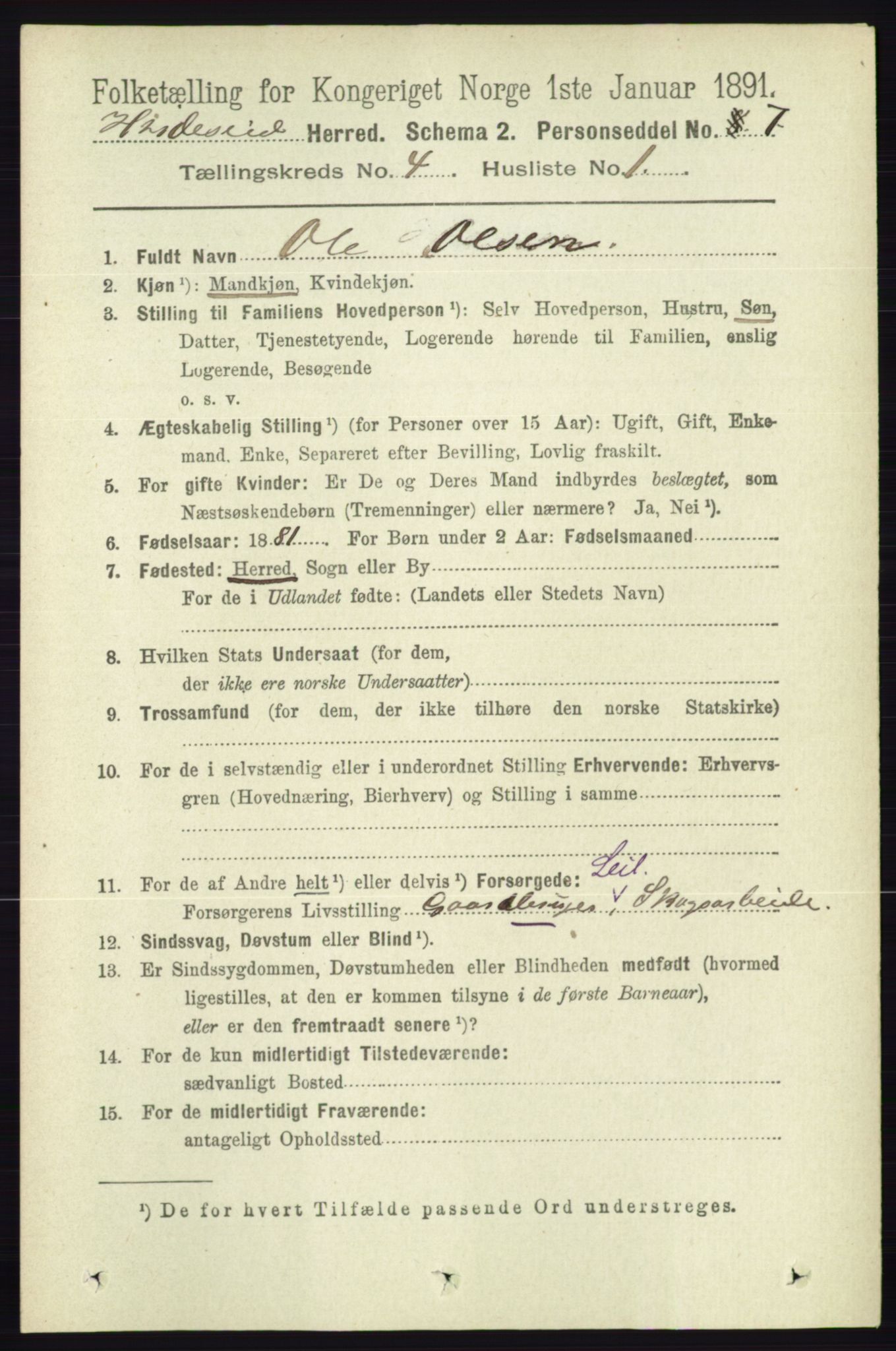 RA, 1891 census for 0829 Kviteseid, 1891, p. 733