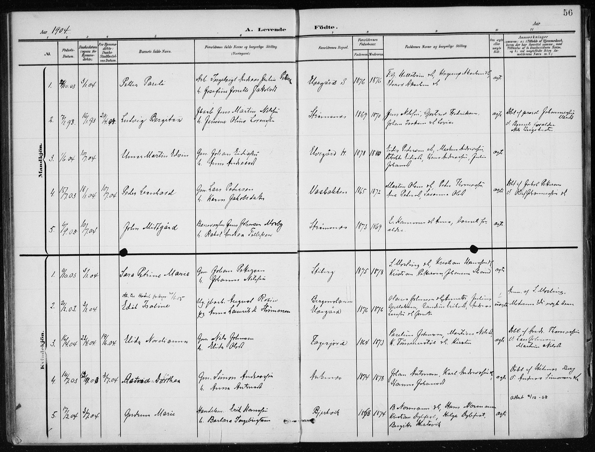 Ministerialprotokoller, klokkerbøker og fødselsregistre - Nordland, SAT/A-1459/866/L0941: Parish register (official) no. 866A04, 1901-1917, p. 56