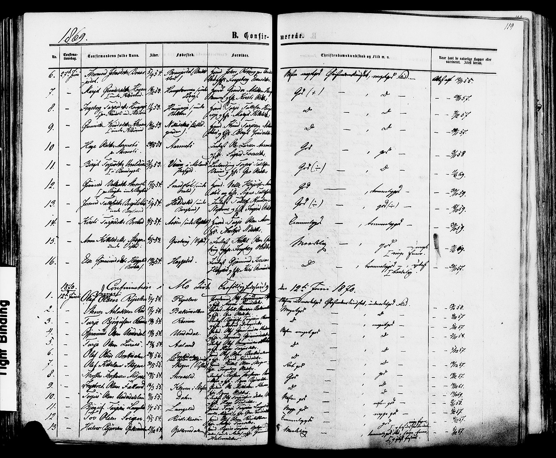 Mo kirkebøker, SAKO/A-286/F/Fa/L0006: Parish register (official) no. I 6, 1865-1885, p. 119