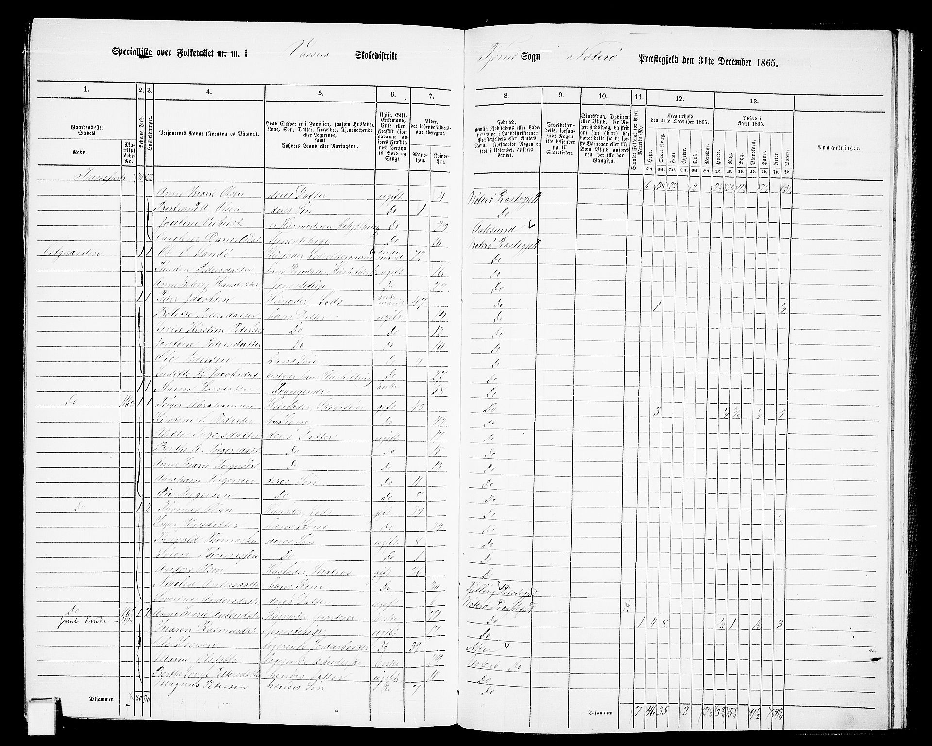 RA, 1865 census for Nøtterøy, 1865, p. 293