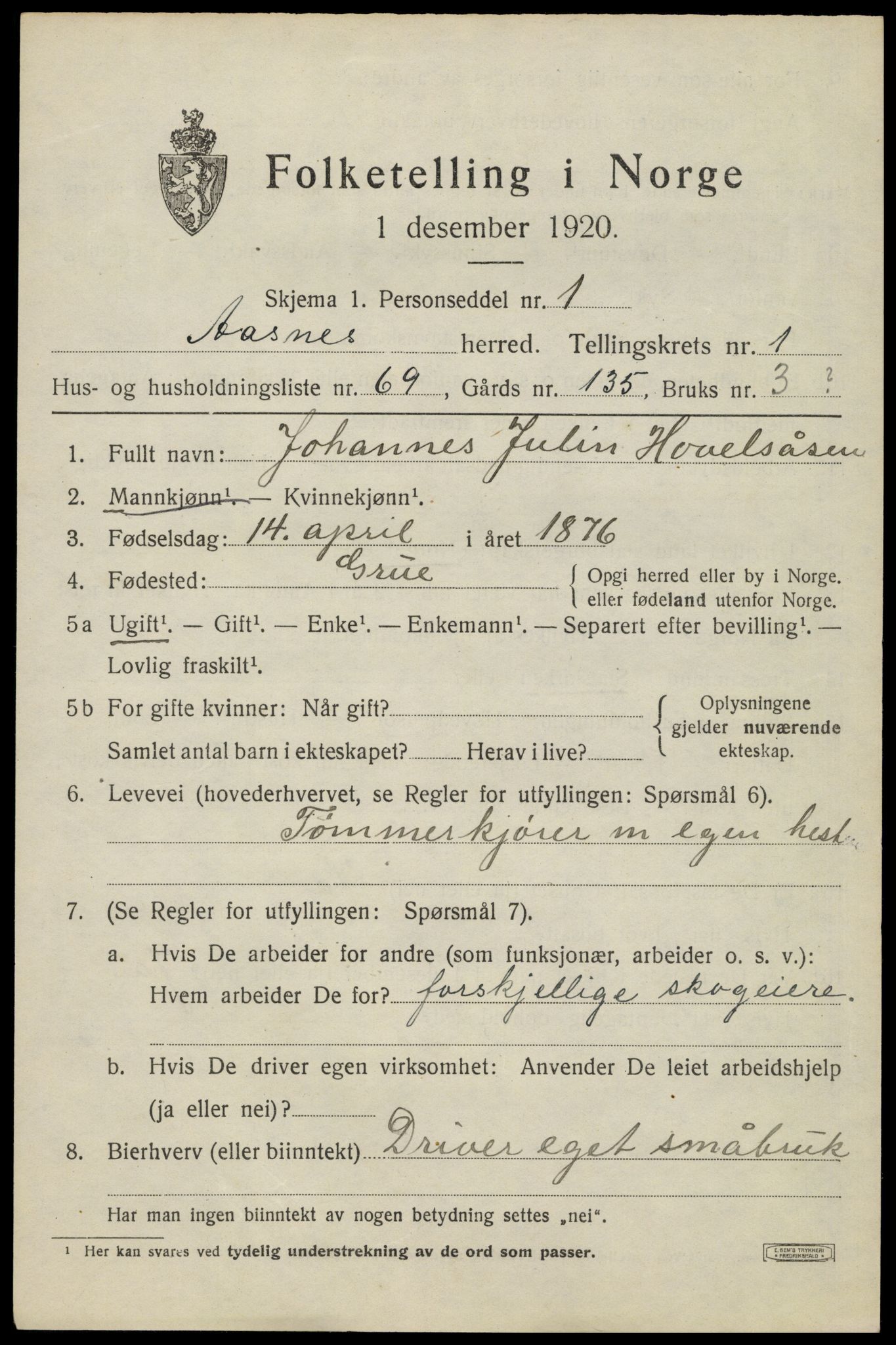 SAH, 1920 census for Åsnes, 1920, p. 2864