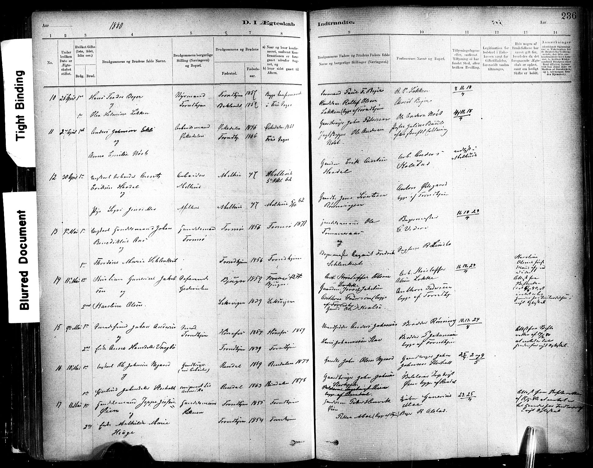 Ministerialprotokoller, klokkerbøker og fødselsregistre - Sør-Trøndelag, SAT/A-1456/602/L0119: Parish register (official) no. 602A17, 1880-1901, p. 236
