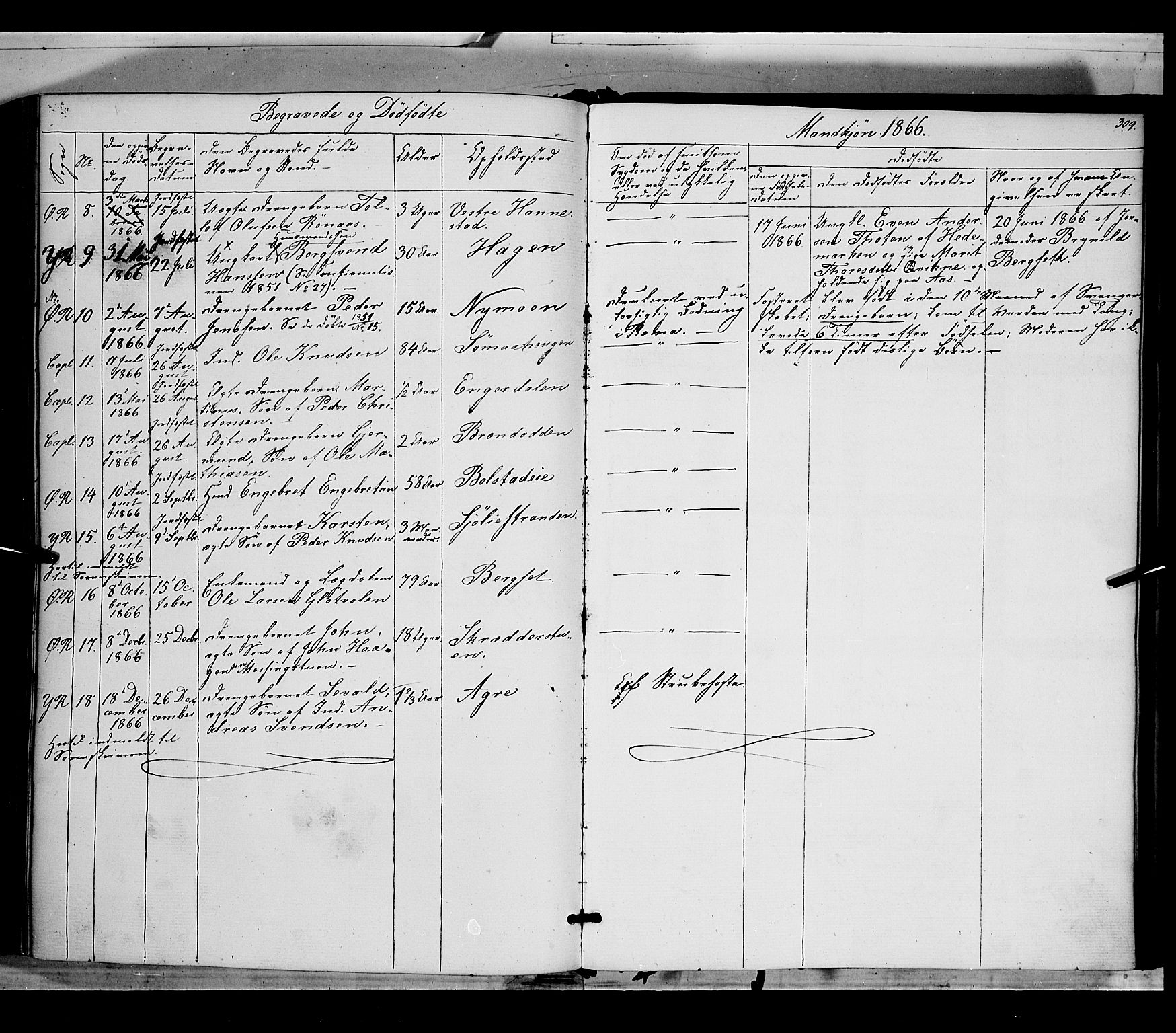 Rendalen prestekontor, AV/SAH-PREST-054/H/Ha/Haa/L0005: Parish register (official) no. 5, 1853-1866, p. 309