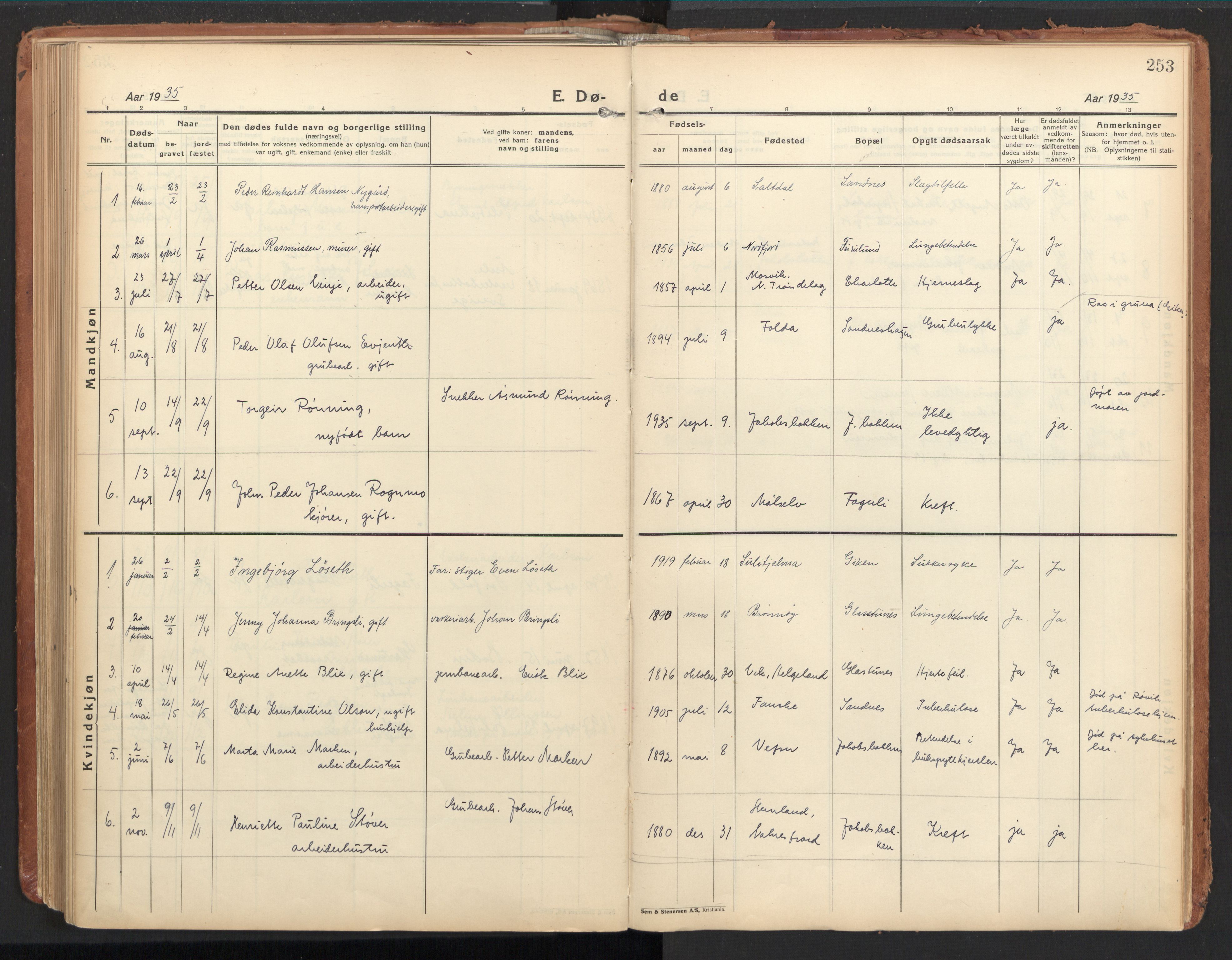 Ministerialprotokoller, klokkerbøker og fødselsregistre - Nordland, SAT/A-1459/850/L0716: Curate's parish register no. 850B06, 1924-1938, p. 253