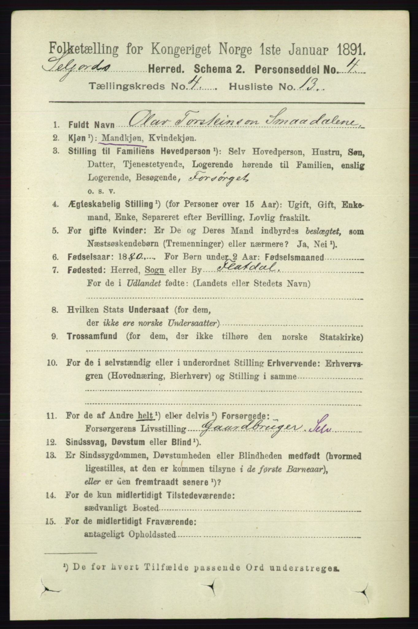 RA, 1891 census for 0828 Seljord, 1891, p. 1358