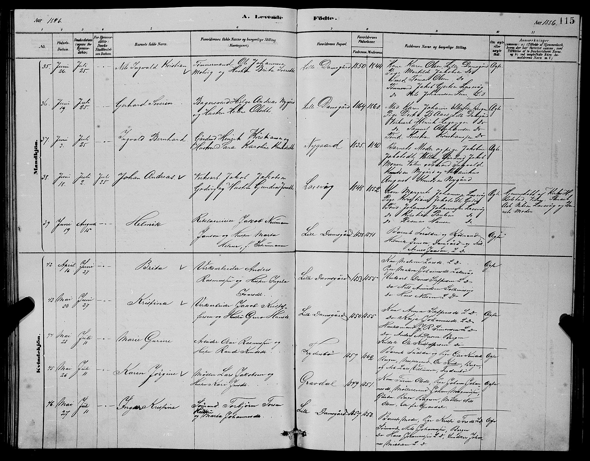 Laksevåg Sokneprestembete, AV/SAB-A-76501/H/Ha/Hab/Haba/L0002: Parish register (copy) no. A 2, 1877-1887, p. 115