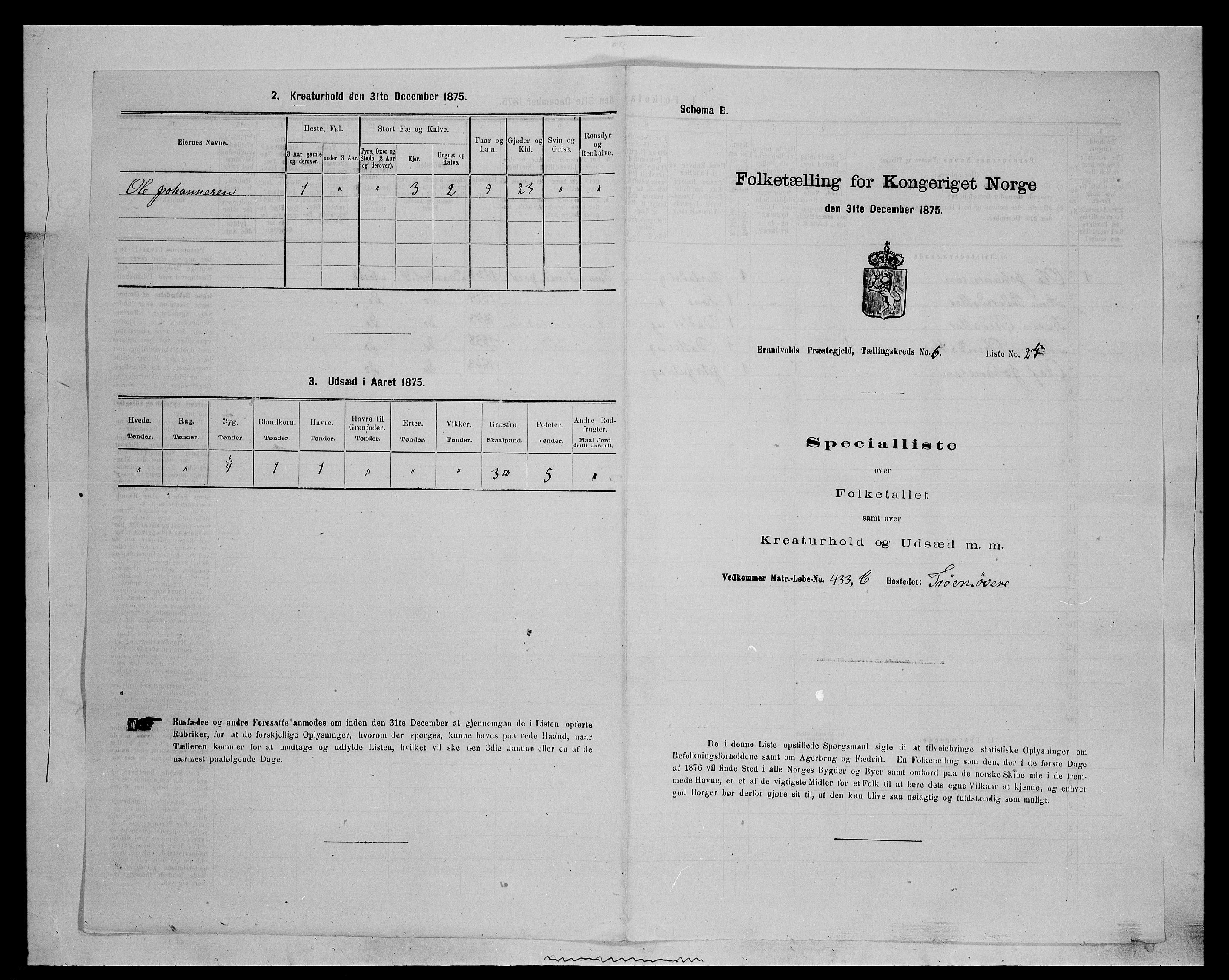 SAH, 1875 census for 0422P Brandval, 1875, p. 1060