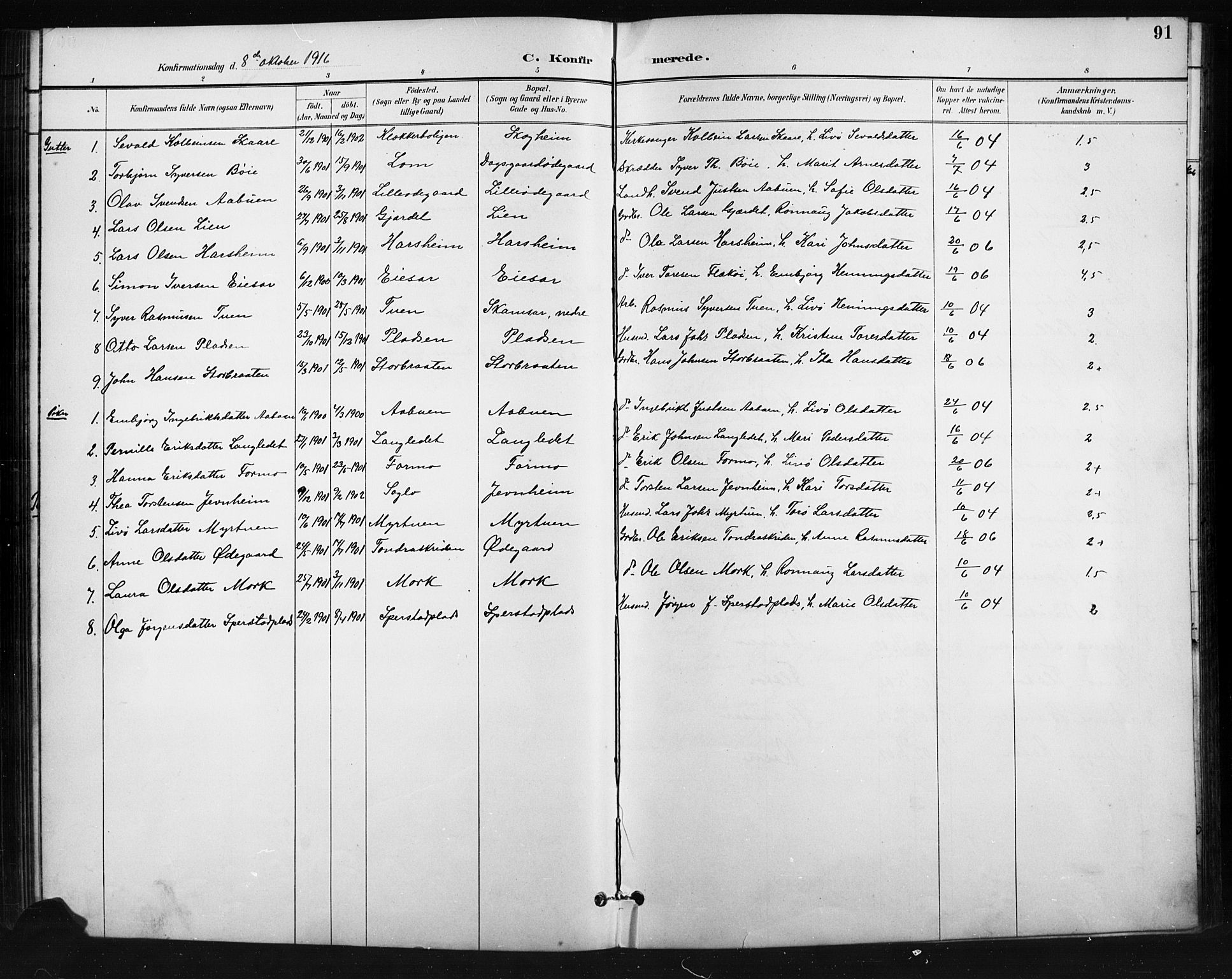 Skjåk prestekontor, SAH/PREST-072/H/Ha/Hab/L0004: Parish register (copy) no. 4, 1895-1921, p. 91