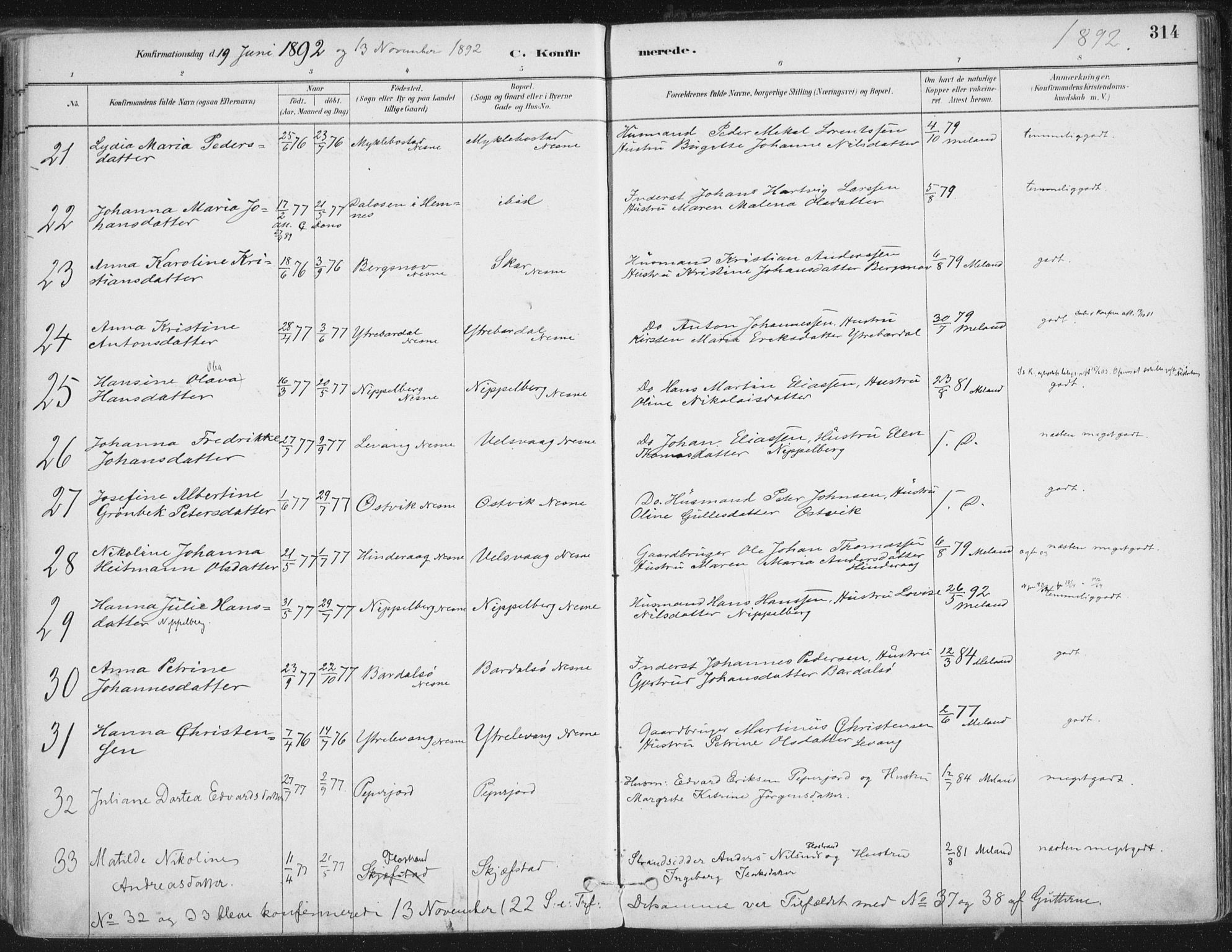 Ministerialprotokoller, klokkerbøker og fødselsregistre - Nordland, AV/SAT-A-1459/838/L0552: Parish register (official) no. 838A10, 1880-1910, p. 314