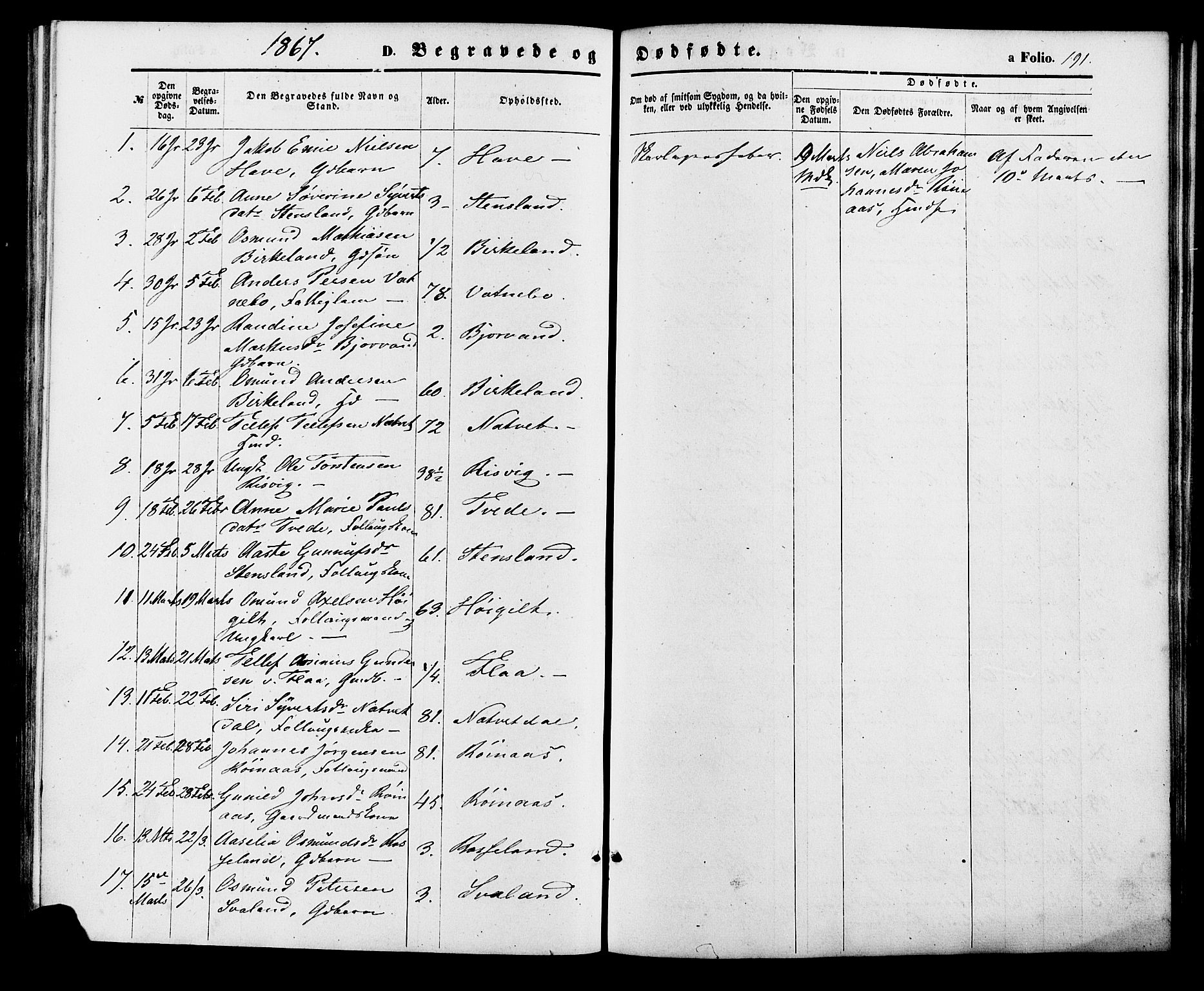 Birkenes sokneprestkontor, SAK/1111-0004/F/Fa/L0004: Parish register (official) no. A 4, 1867-1886, p. 191