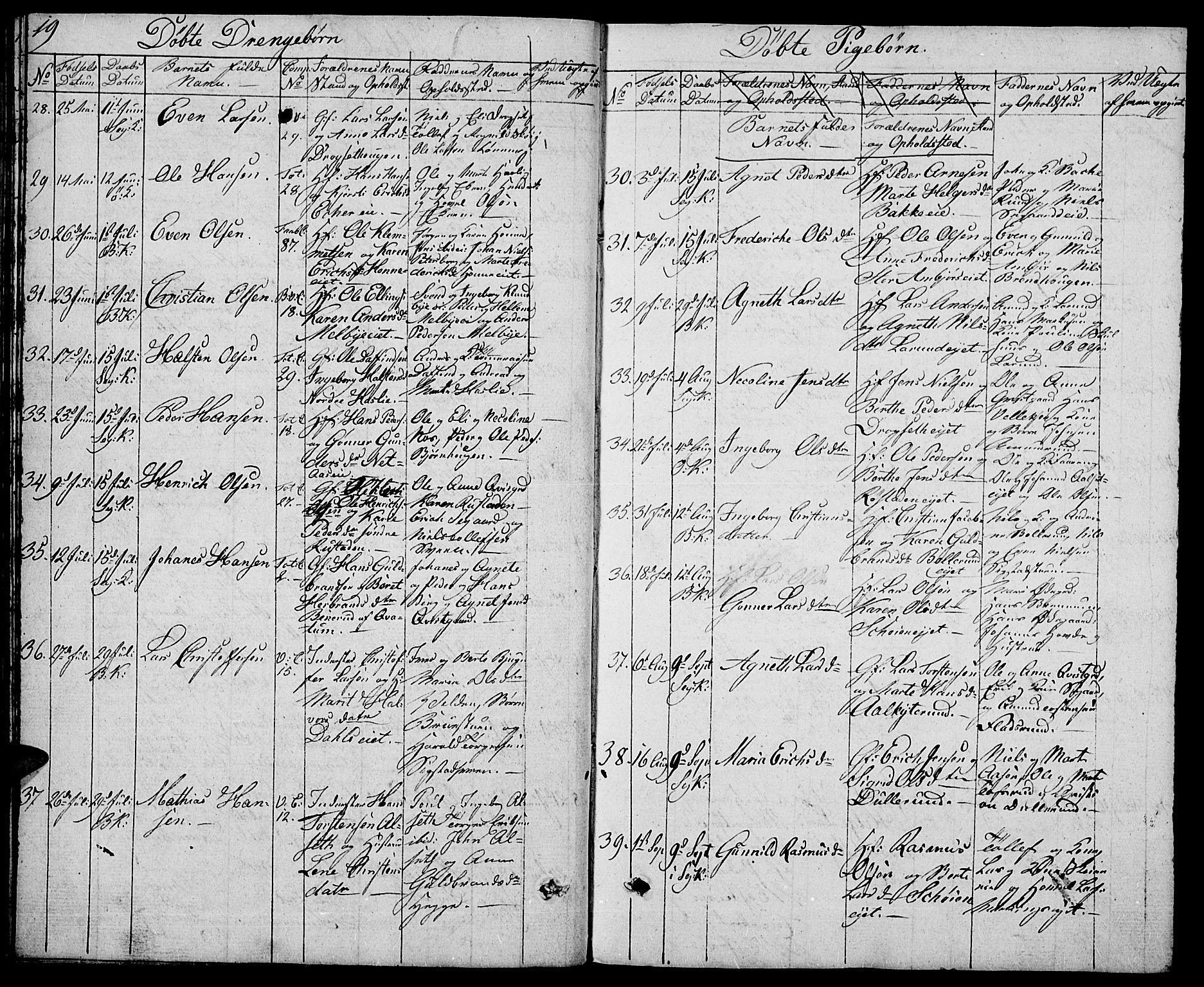 Biri prestekontor, AV/SAH-PREST-096/H/Ha/Hab/L0002: Parish register (copy) no. 2, 1828-1842, p. 19