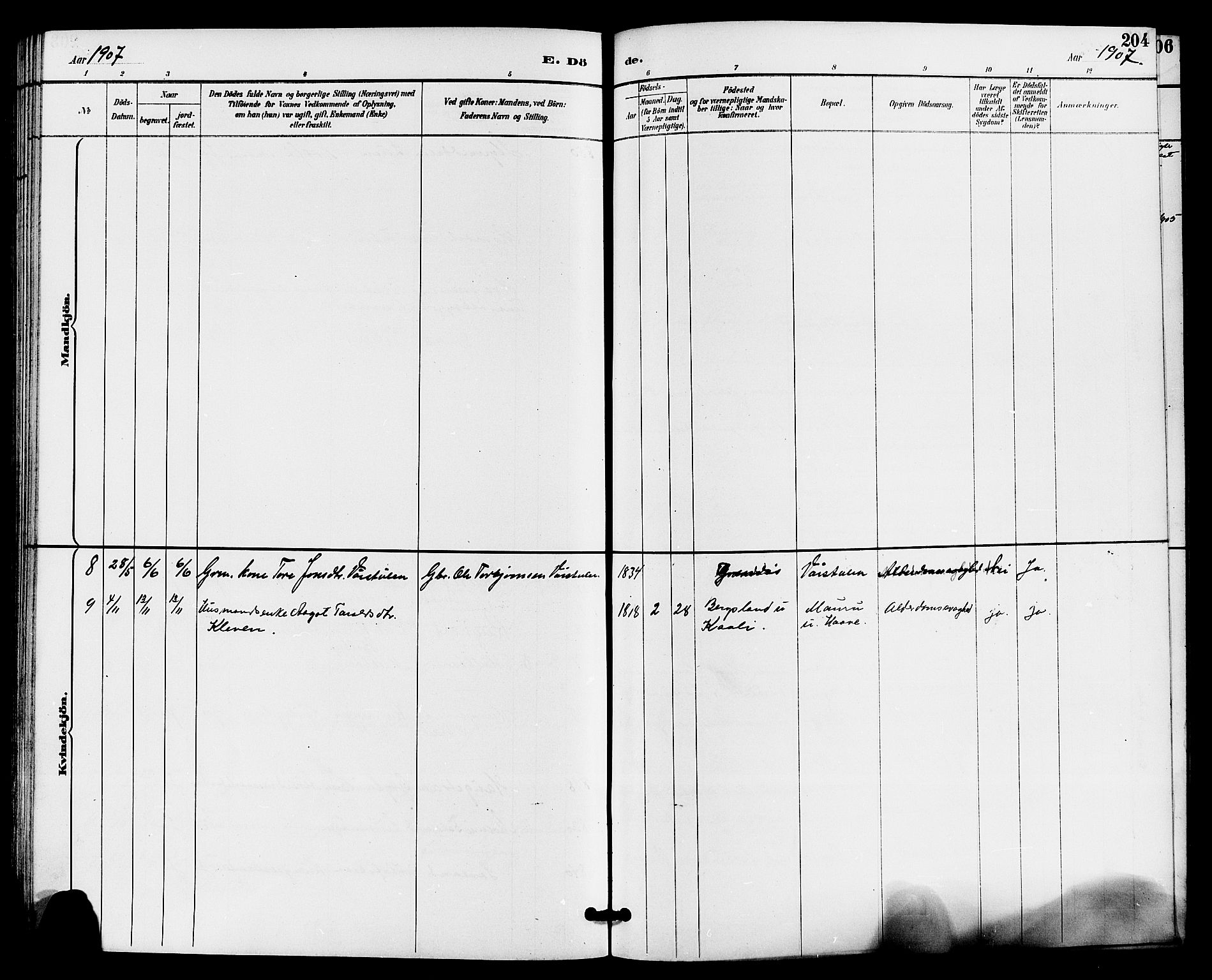Gransherad kirkebøker, SAKO/A-267/G/Ga/L0003: Parish register (copy) no. I 3, 1887-1915, p. 204