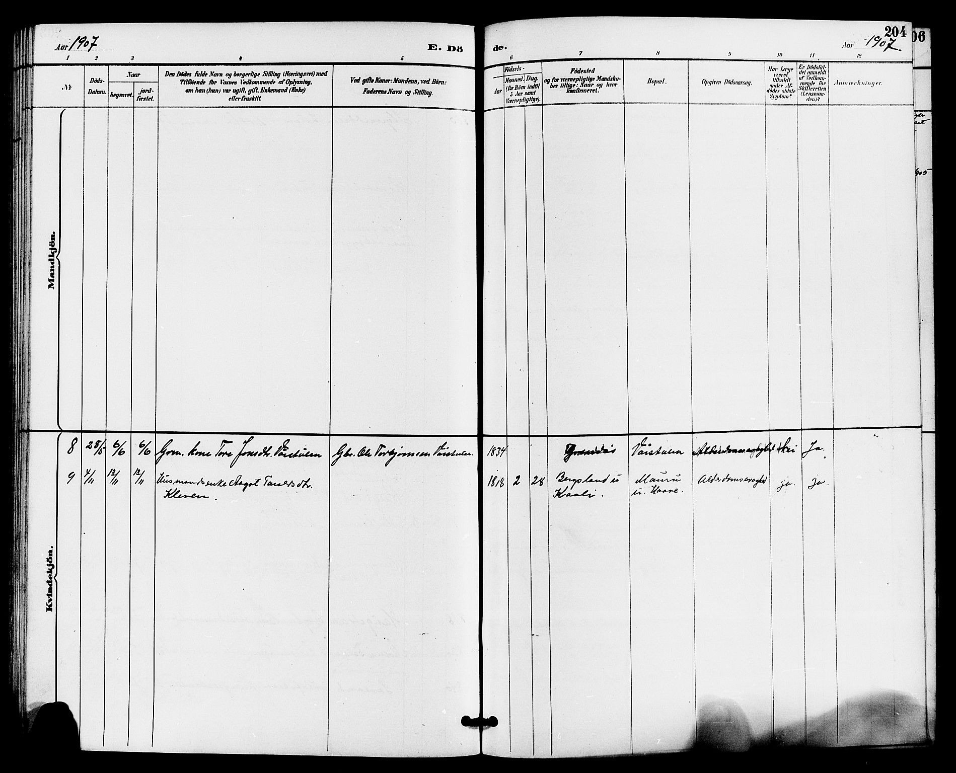 Gransherad kirkebøker, AV/SAKO-A-267/G/Ga/L0003: Parish register (copy) no. I 3, 1887-1915, p. 204