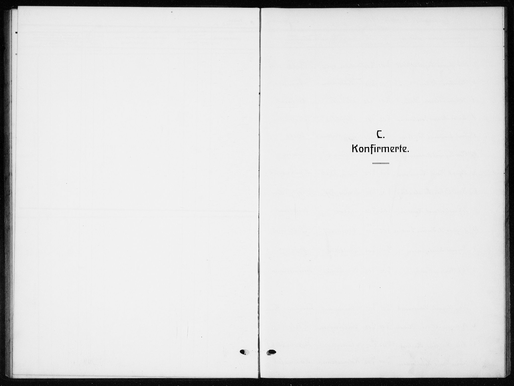 Botne kirkebøker, AV/SAKO-A-340/G/Ga/L0005: Parish register (copy) no. I 5, 1916-1934