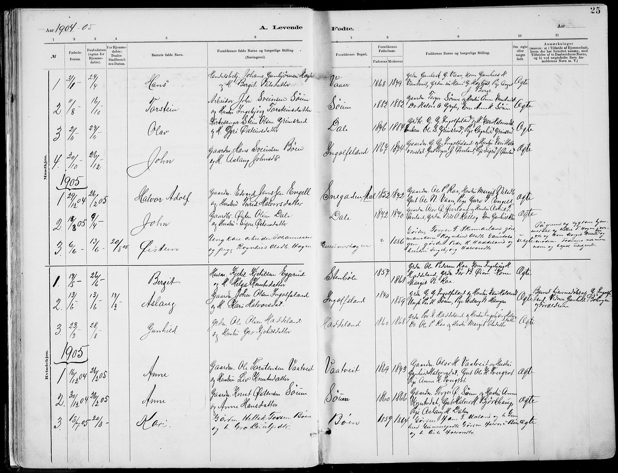 Rjukan kirkebøker, SAKO/A-294/F/Fa/L0001: Parish register (official) no. 1, 1878-1912, p. 25