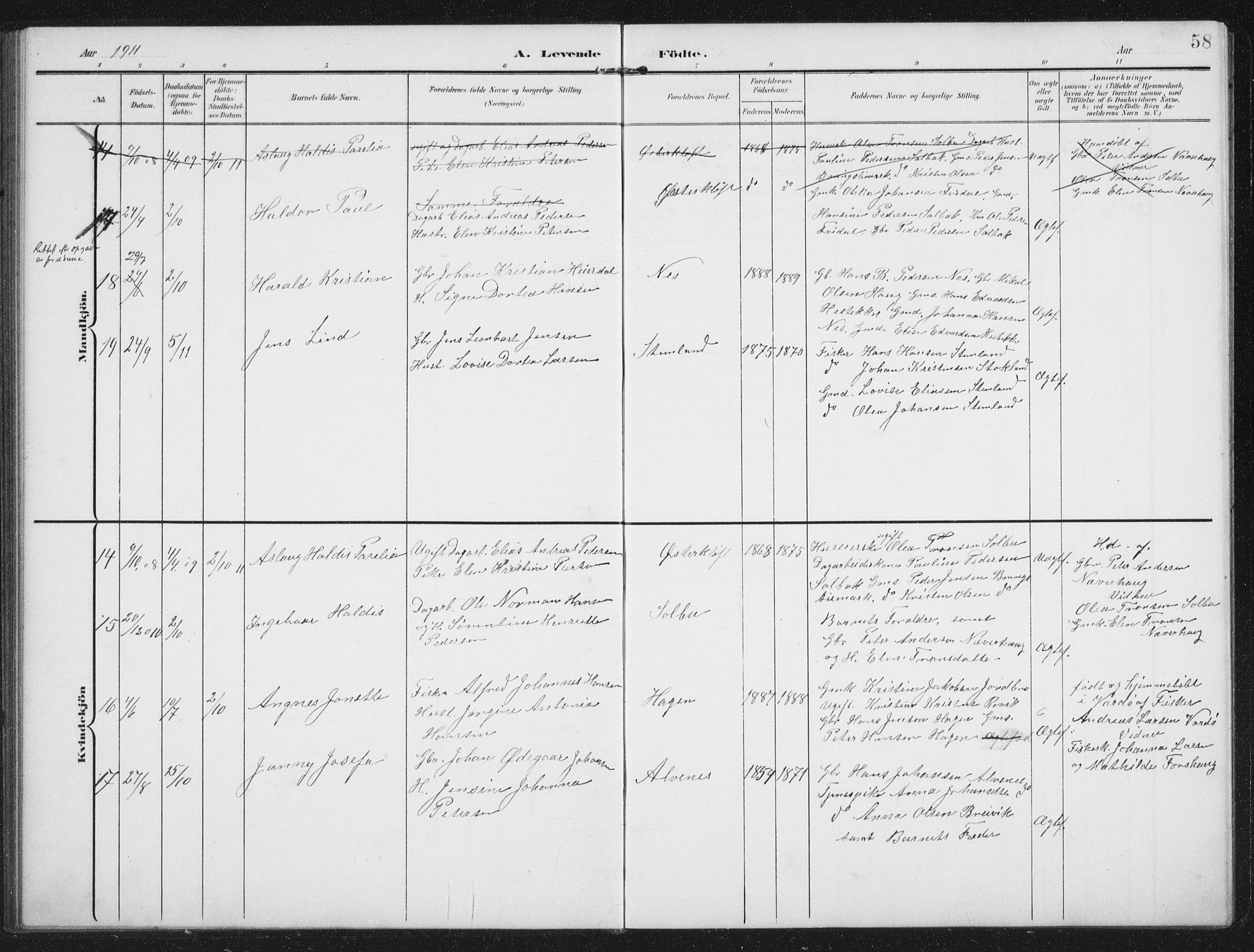 Ministerialprotokoller, klokkerbøker og fødselsregistre - Nordland, AV/SAT-A-1459/851/L0726: Parish register (copy) no. 851C01, 1902-1924, p. 58