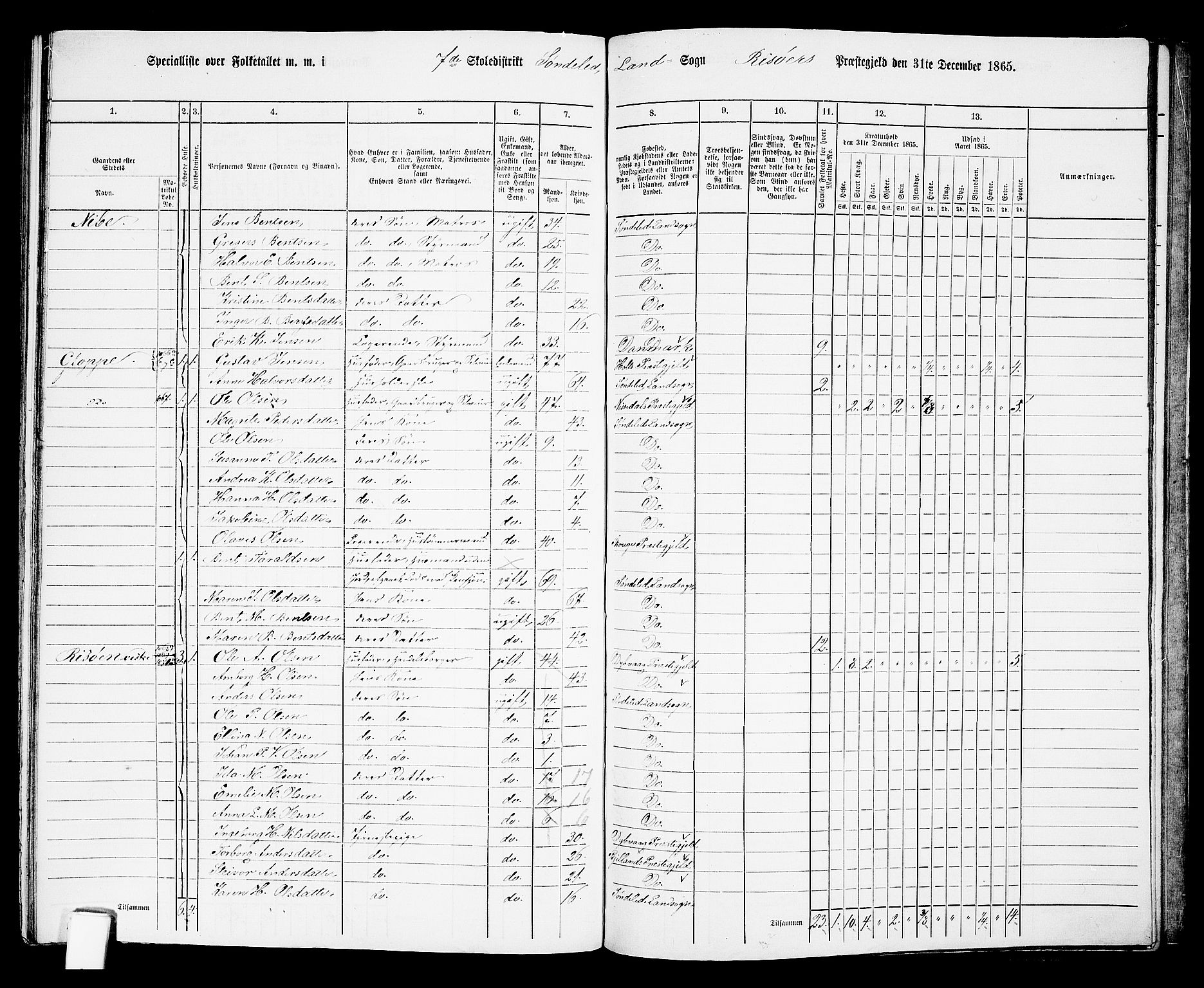 RA, 1865 census for Risør/Søndeled, 1865, p. 138