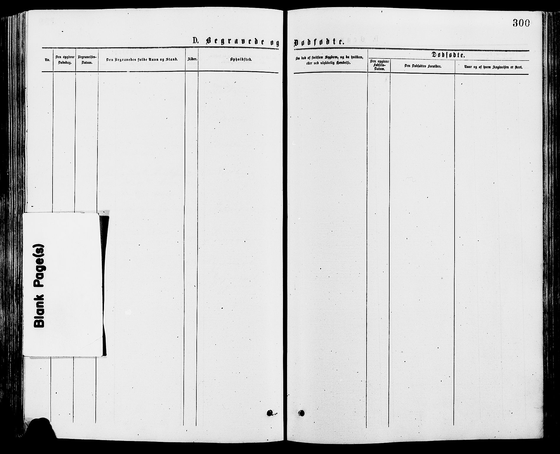 Trysil prestekontor, SAH/PREST-046/H/Ha/Haa/L0007: Parish register (official) no. 7, 1874-1880, p. 300