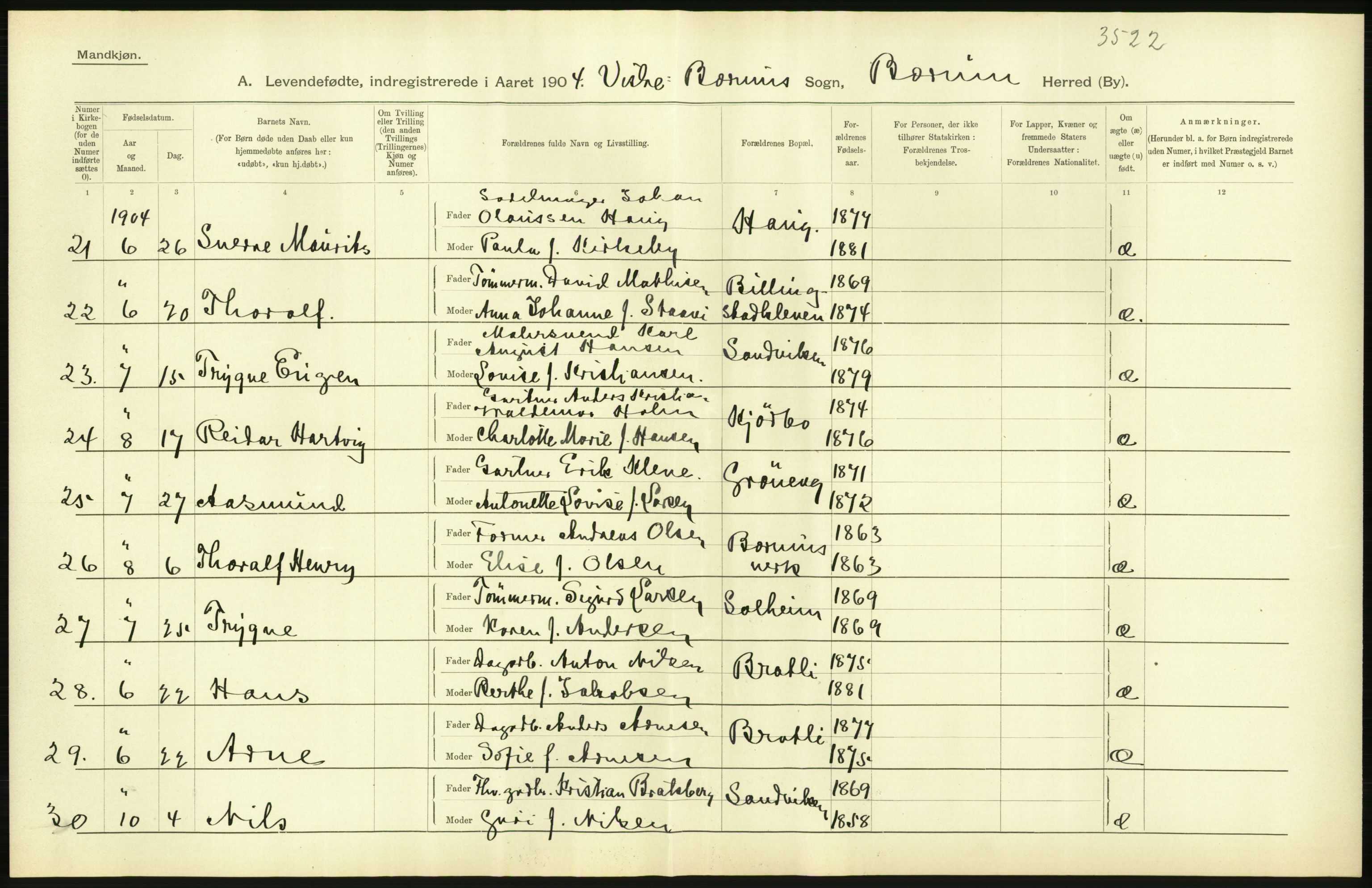 Statistisk sentralbyrå, Sosiodemografiske emner, Befolkning, AV/RA-S-2228/D/Df/Dfa/Dfab/L0002: Akershus amt: Fødte, gifte, døde, 1904, p. 16