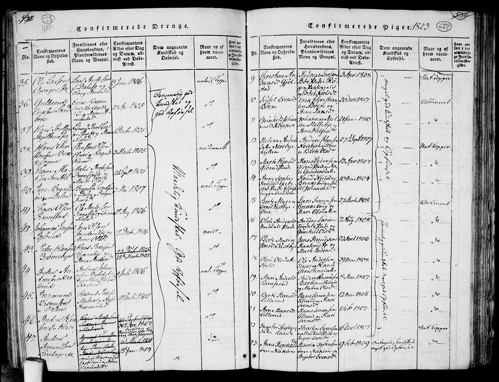 Rakkestad prestekontor Kirkebøker, AV/SAO-A-2008/F/Fa/L0006: Parish register (official) no. I 6, 1814-1824, p. 558-559