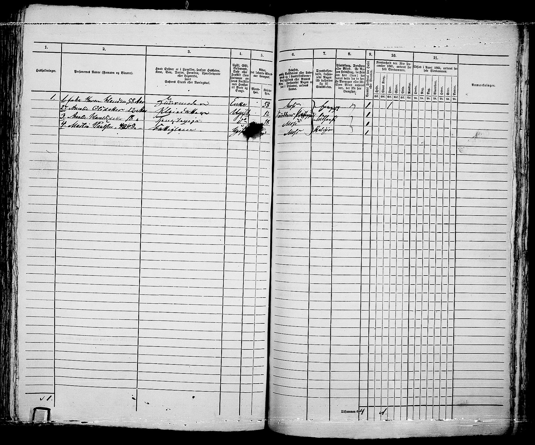 RA, 1865 census for Moss/Moss, 1865, p. 671