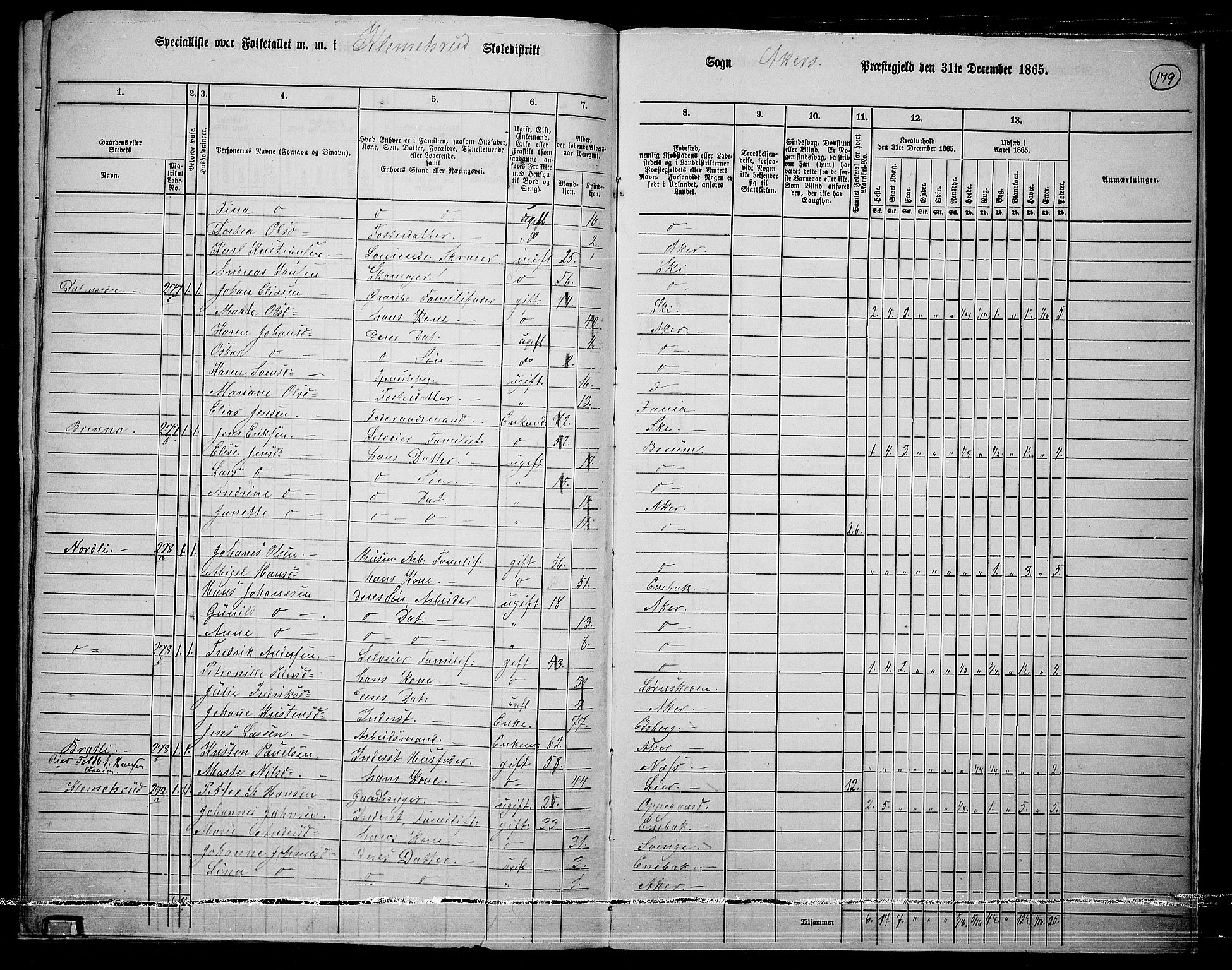 RA, 1865 census for Østre Aker, 1865, p. 397