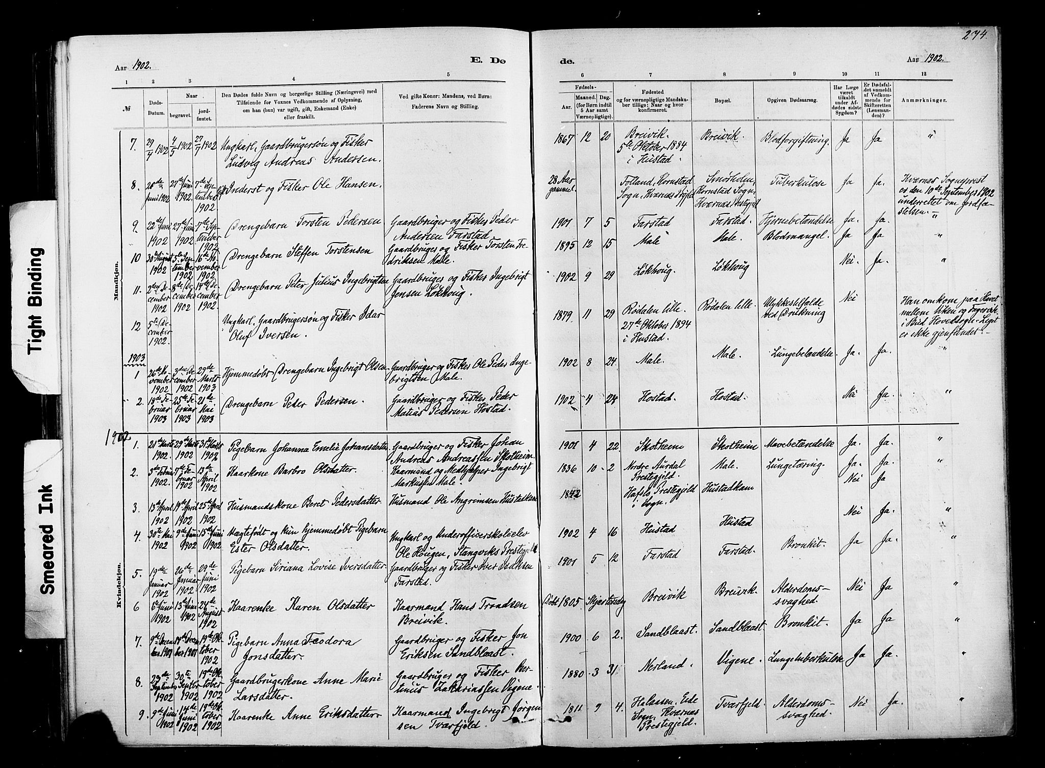 Ministerialprotokoller, klokkerbøker og fødselsregistre - Møre og Romsdal, AV/SAT-A-1454/567/L0778: Parish register (official) no. 567A01, 1881-1903, p. 274