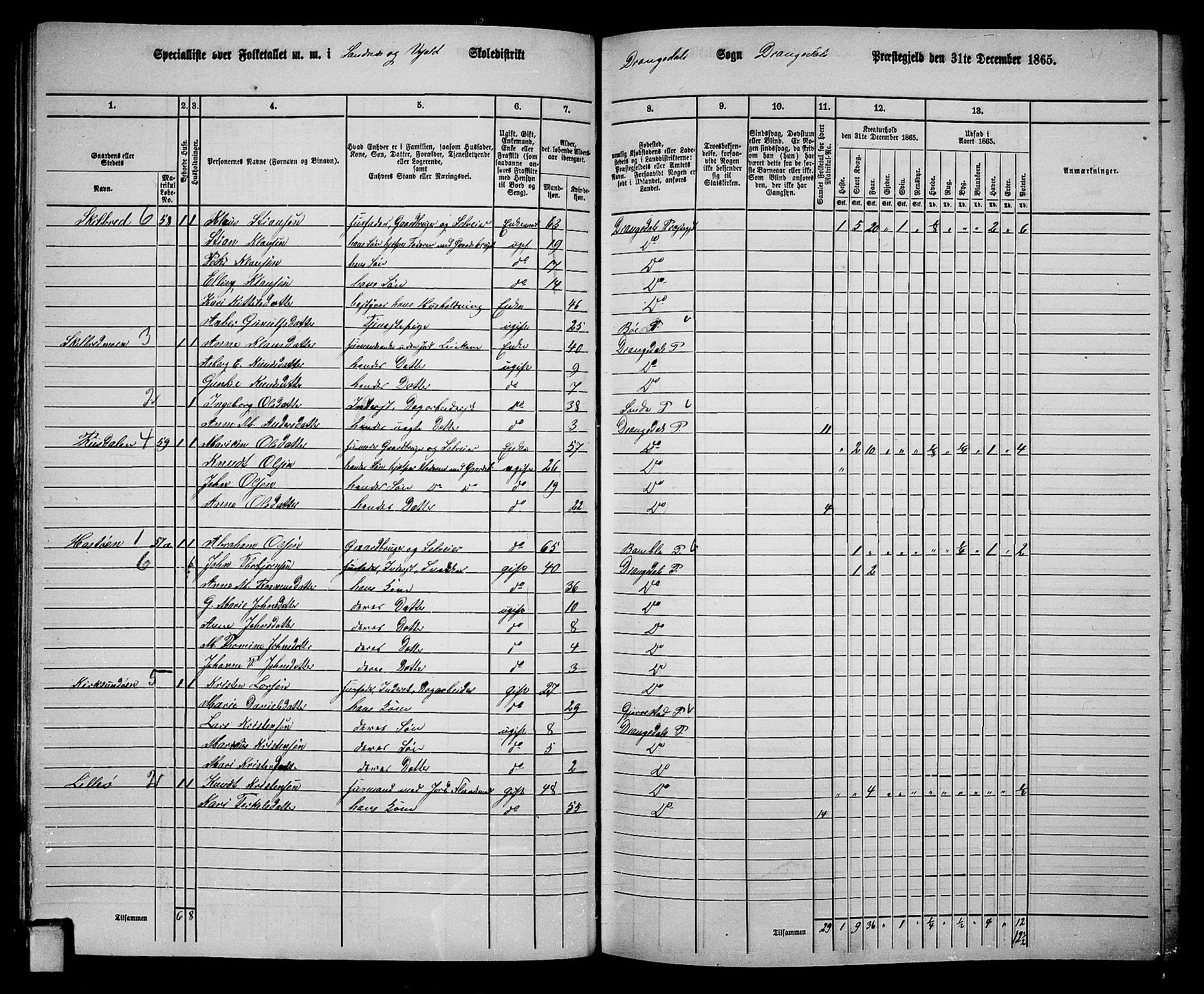 RA, 1865 census for Drangedal, 1865, p. 35