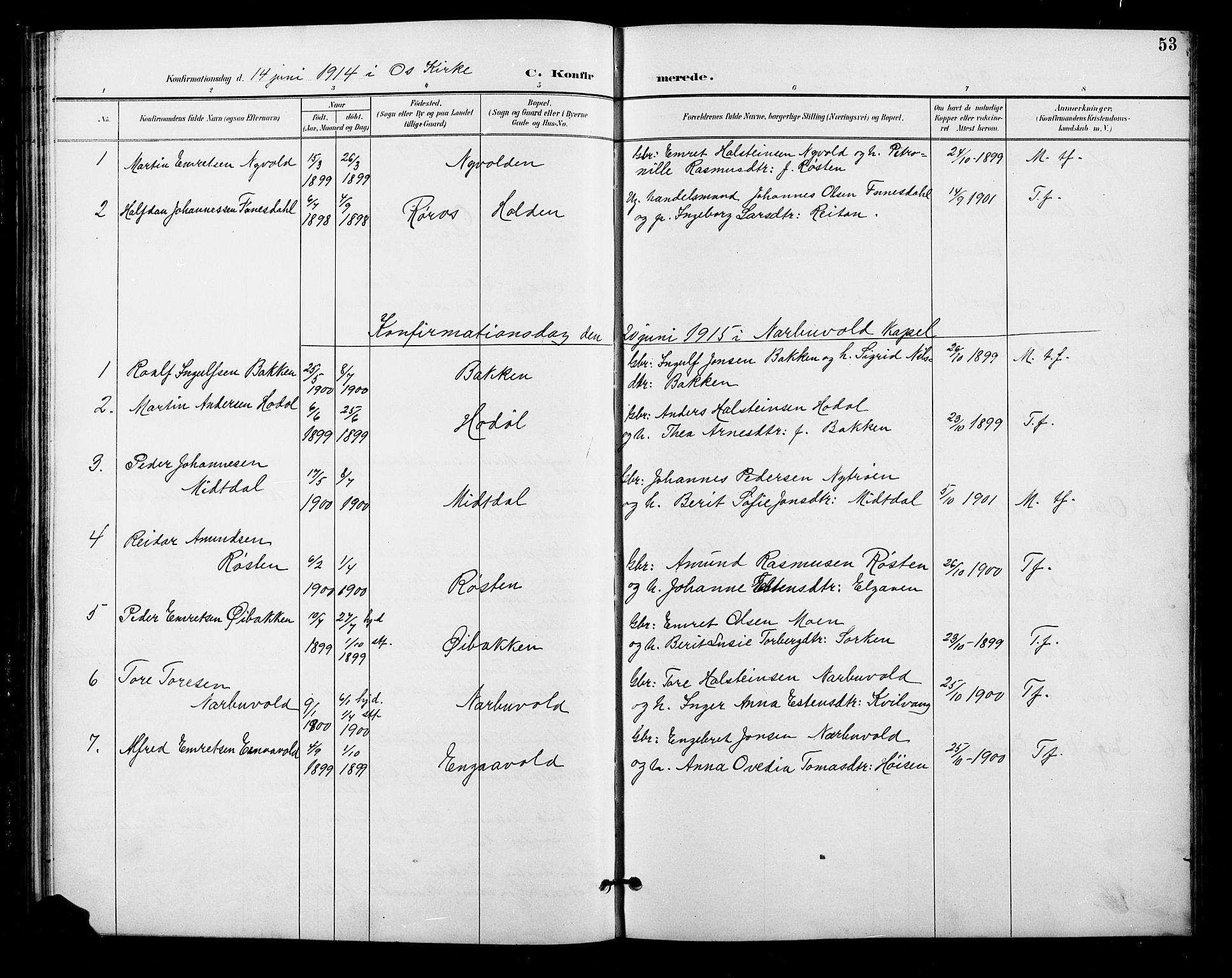 Tolga prestekontor, AV/SAH-PREST-062/L/L0011: Parish register (copy) no. 11, 1894-1925, p. 53