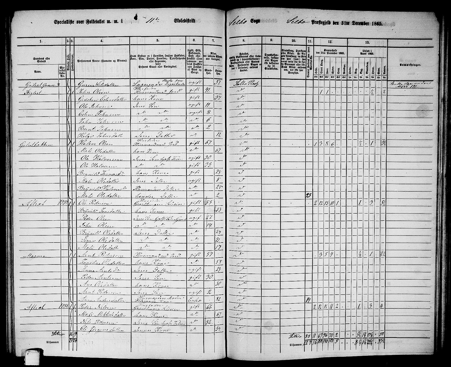 RA, 1865 census for Selbu, 1865, p. 205